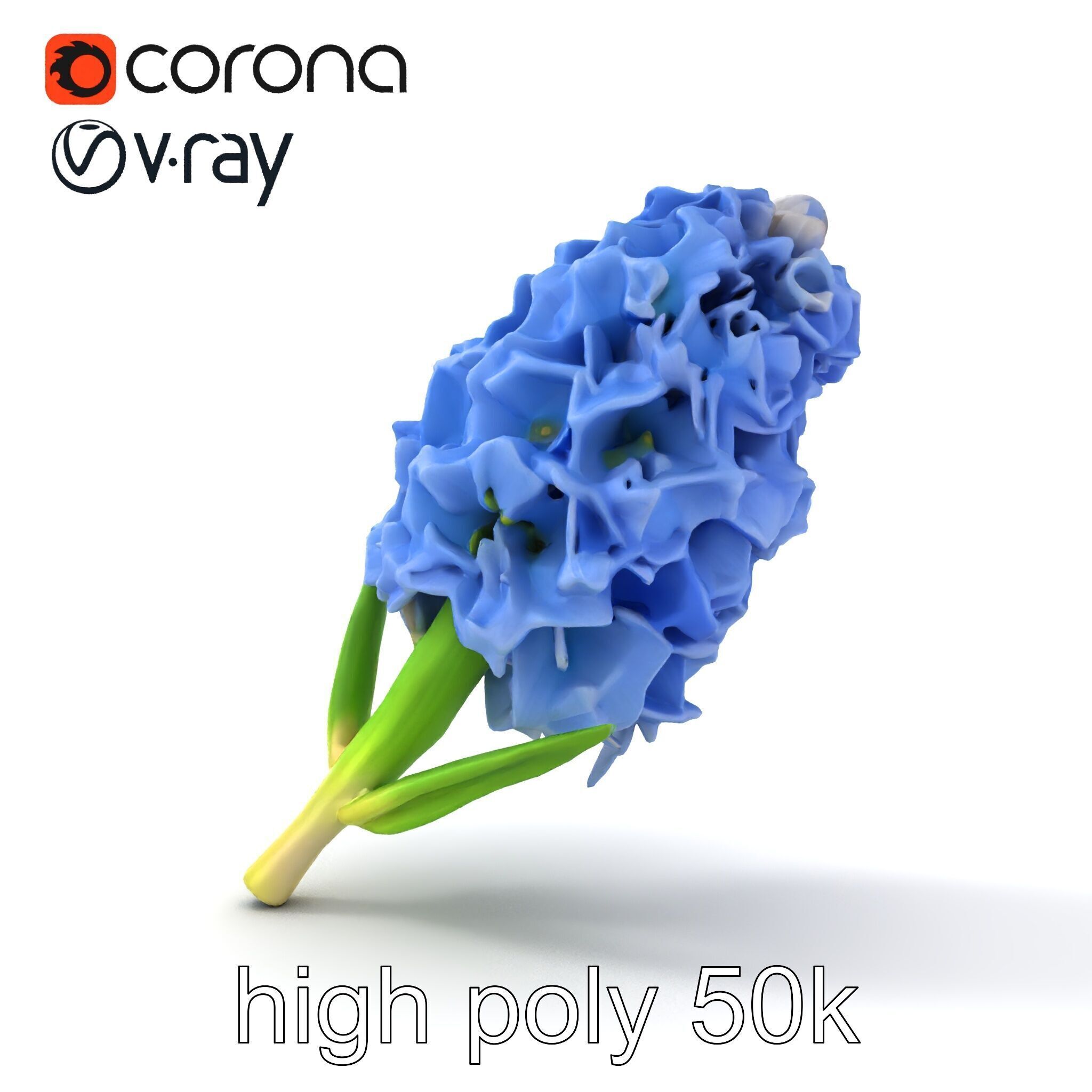 Double Hyacinth Layered Petal Fullness model pack Low-poly 3D model_13