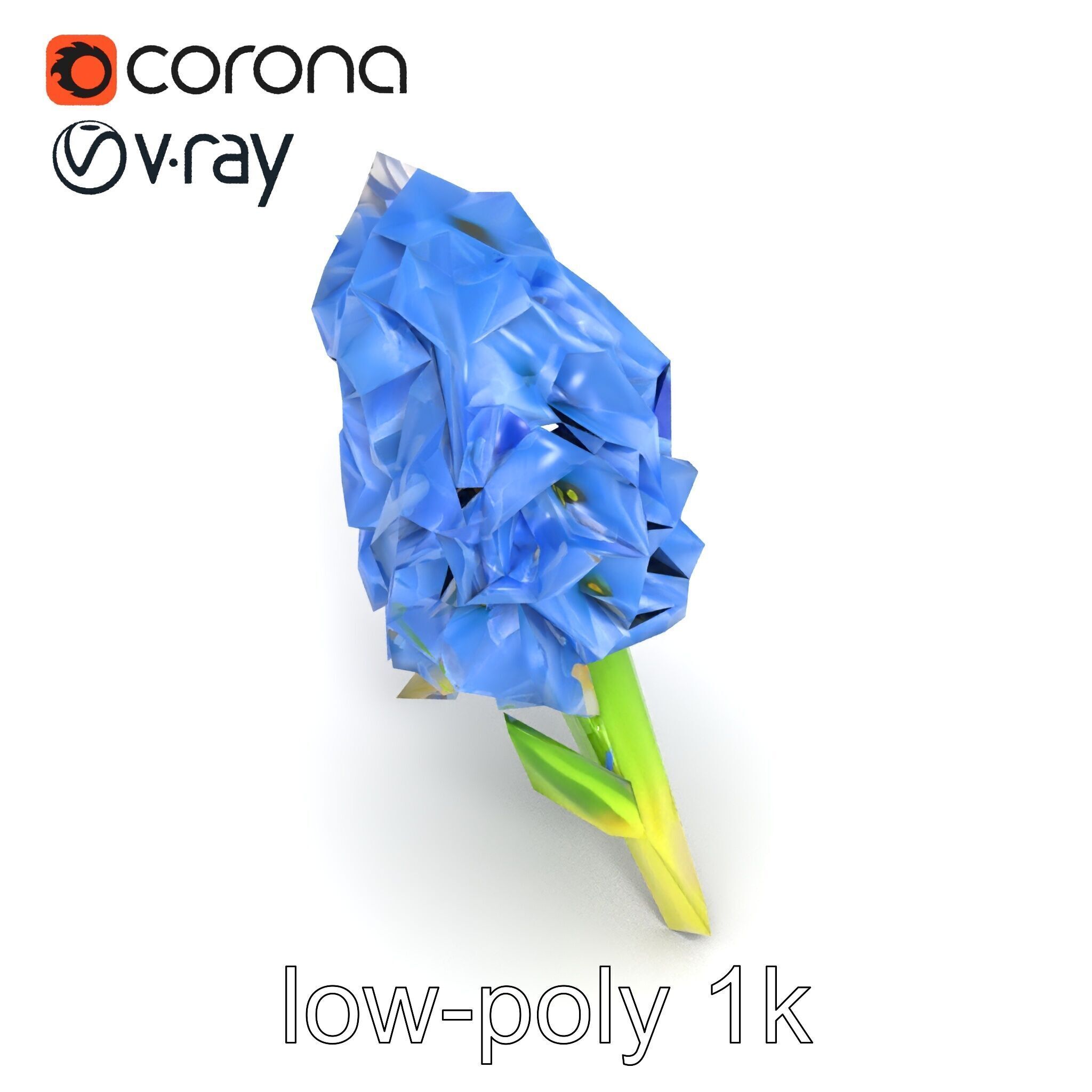 Double Hyacinth Layered Petal Fullness model pack Low-poly 3D model_20