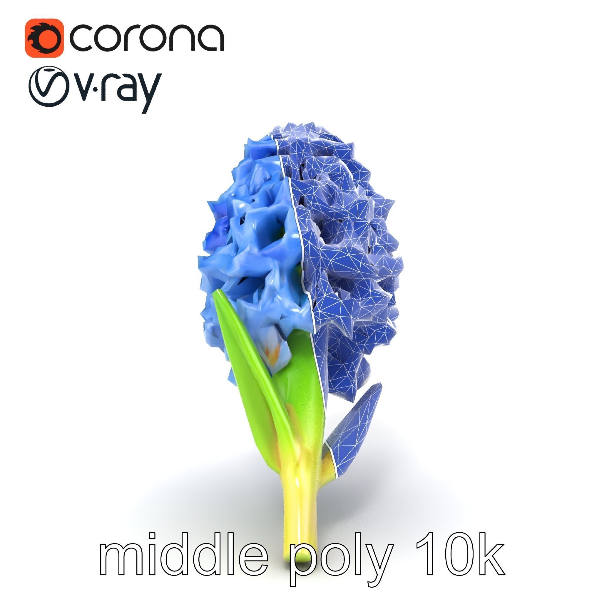 Double Hyacinth Layered Petal Fullness model pack Low-poly 3D model_24