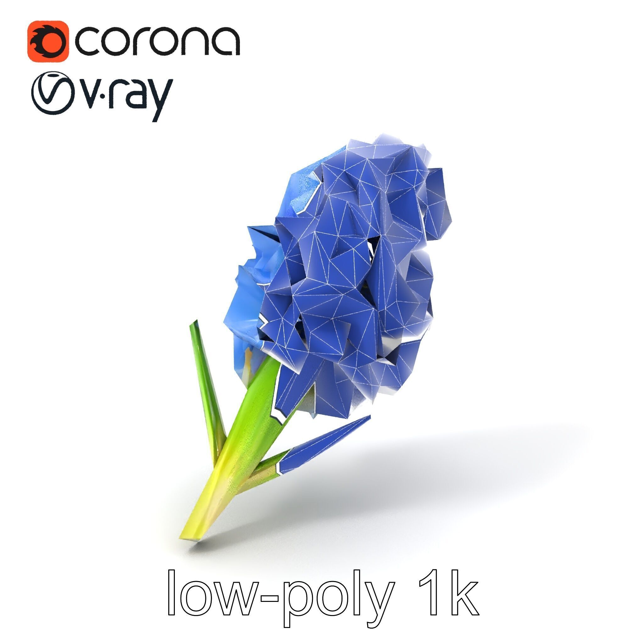 Double Hyacinth Layered Petal Fullness model pack Low-poly 3D model_6