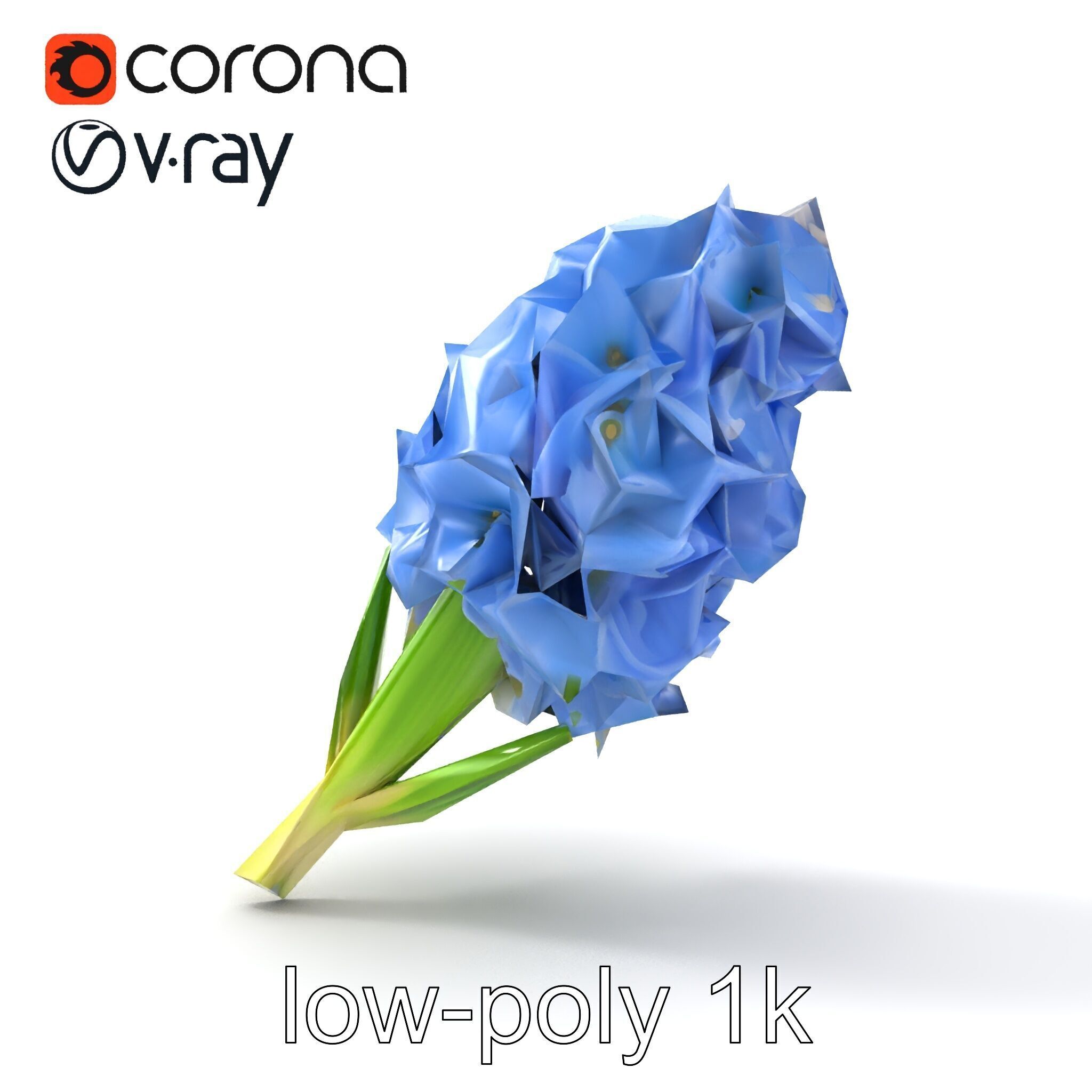 Double Hyacinth Layered Petal Fullness model pack Low-poly 3D model_26