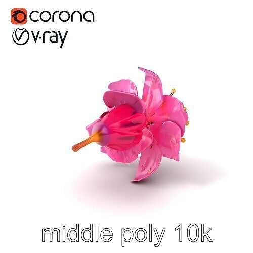 Lonicera Pink Botanical Representation model pack Low-poly 3D model