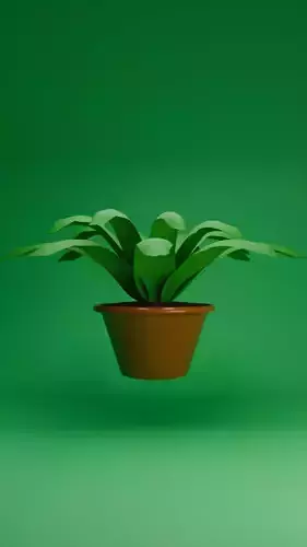 Simple flower pot