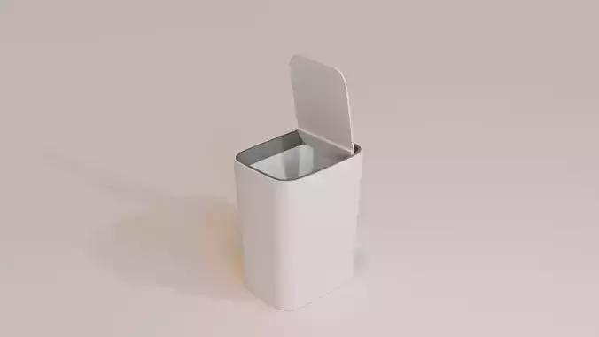 Bin Minimal Model