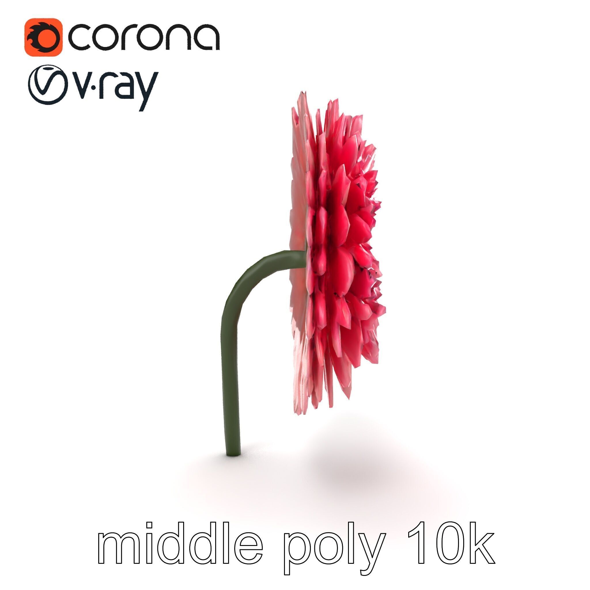 Chrysanthemum Double Lush Blooms model pack Low-poly 3D model_16