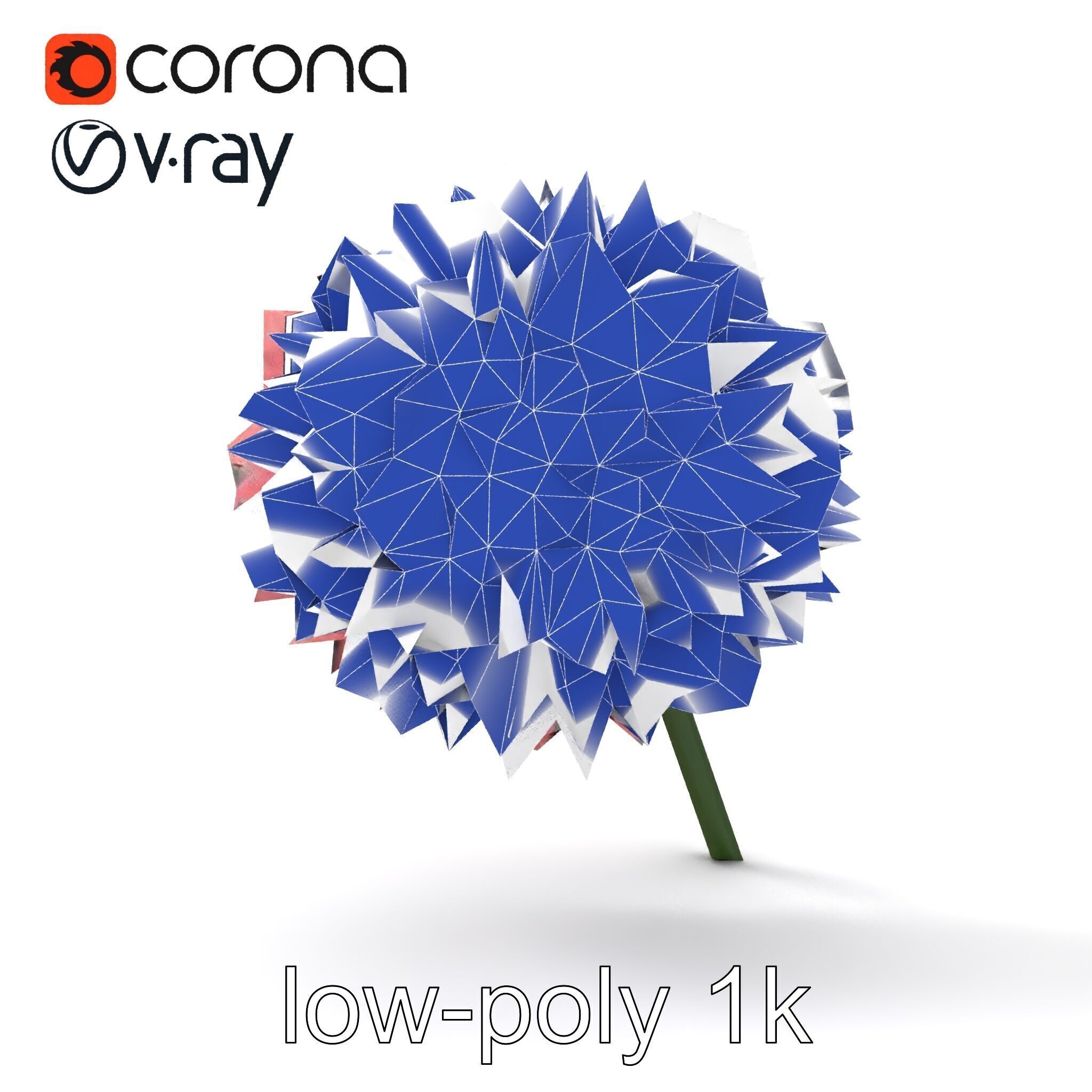 Chrysanthemum Double Lush Blooms model pack Low-poly 3D model_29