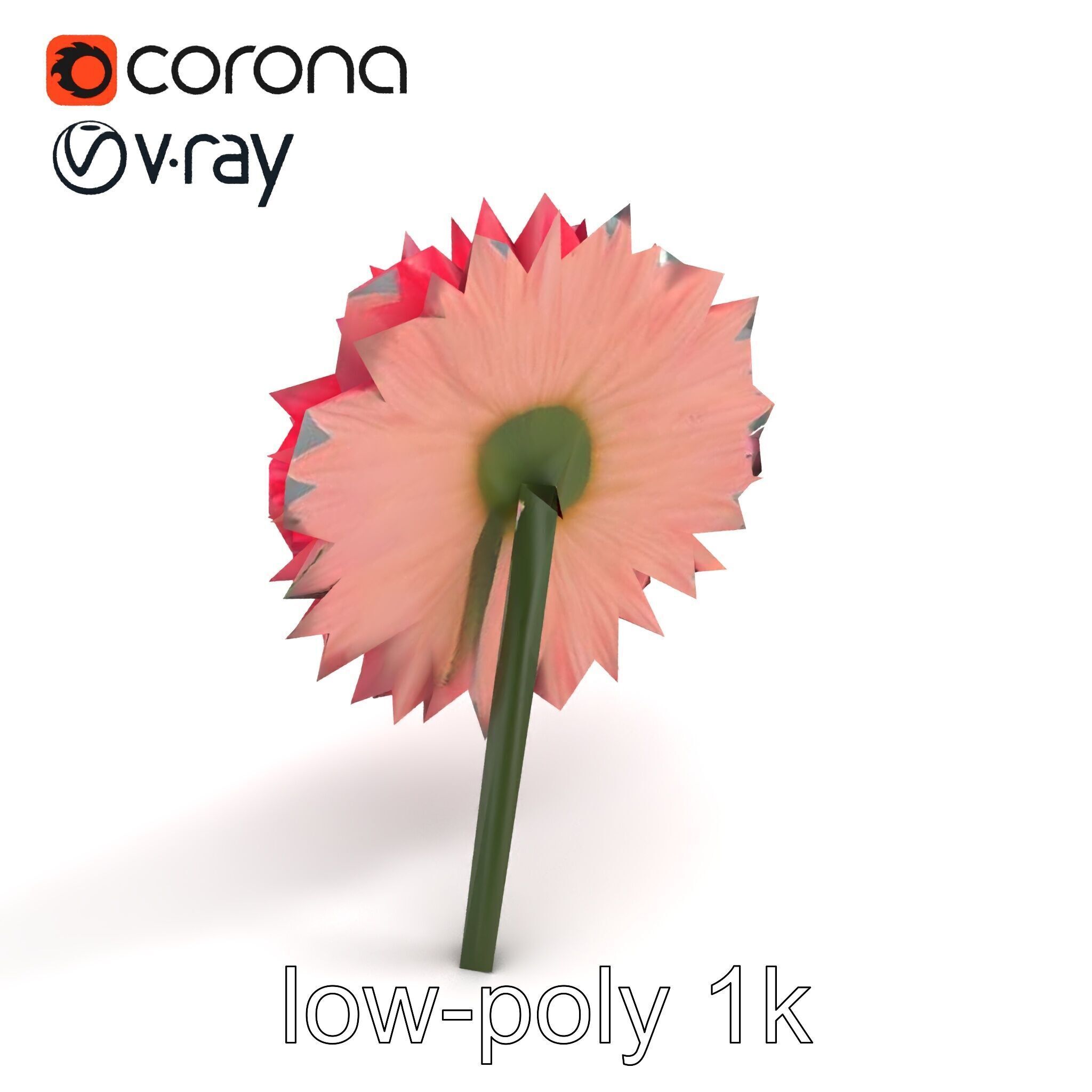 Chrysanthemum Double Lush Blooms model pack Low-poly 3D model_8