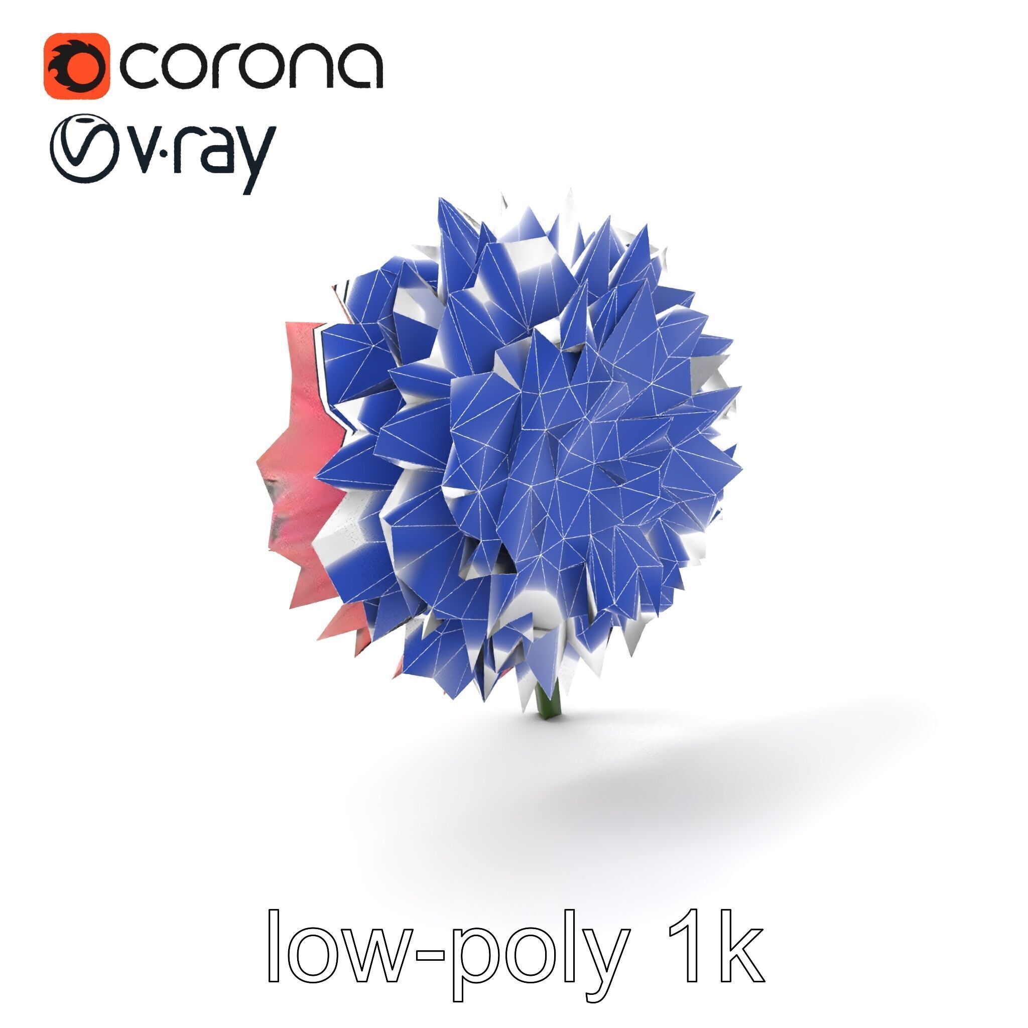 Chrysanthemum Double Lush Blooms model pack Low-poly 3D model_6