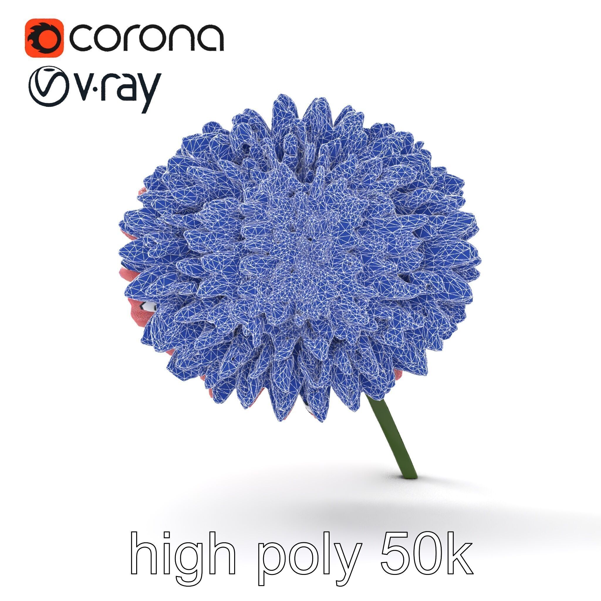 Chrysanthemum Double Lush Blooms model pack Low-poly 3D model_19
