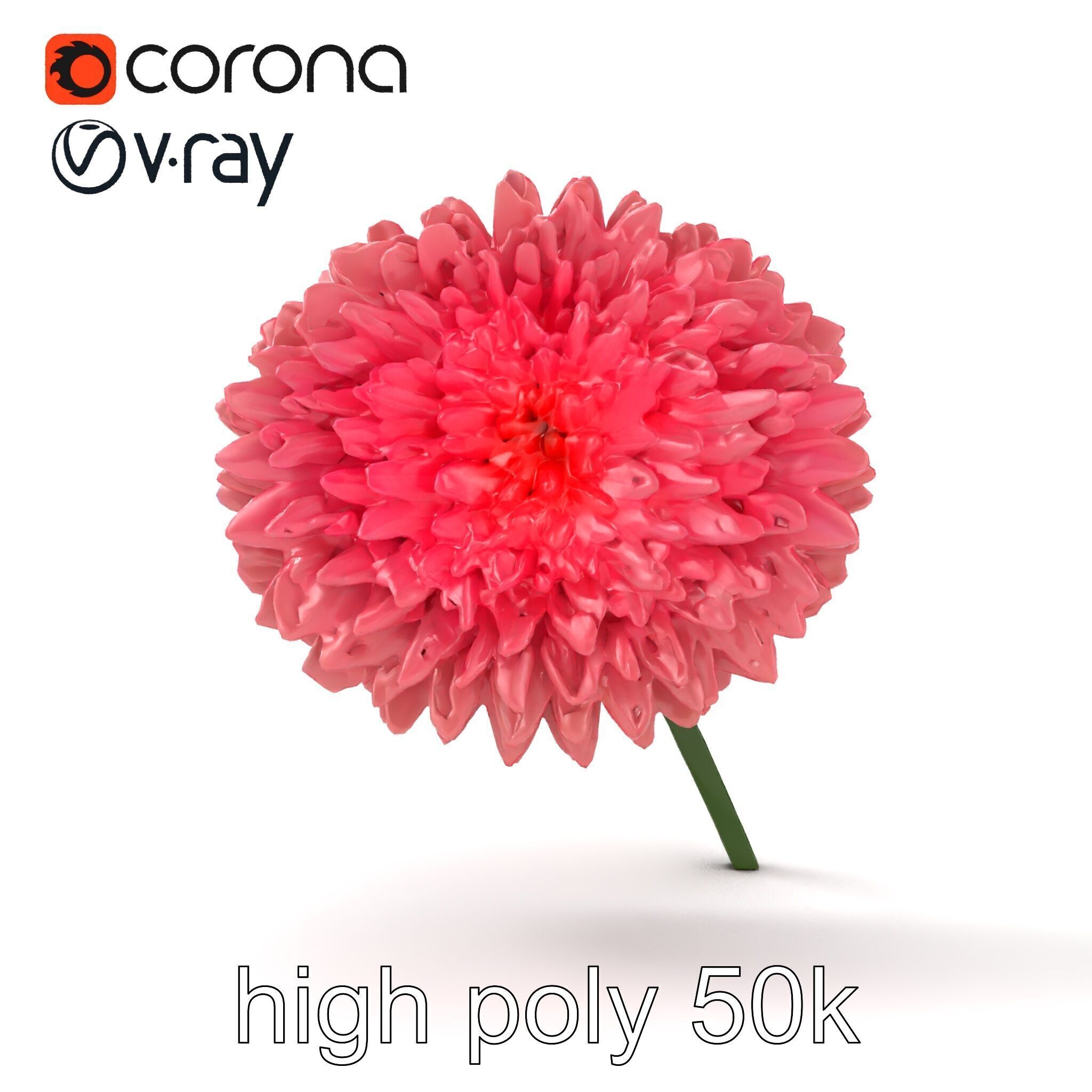 Chrysanthemum Double Lush Blooms model pack Low-poly 3D model_18