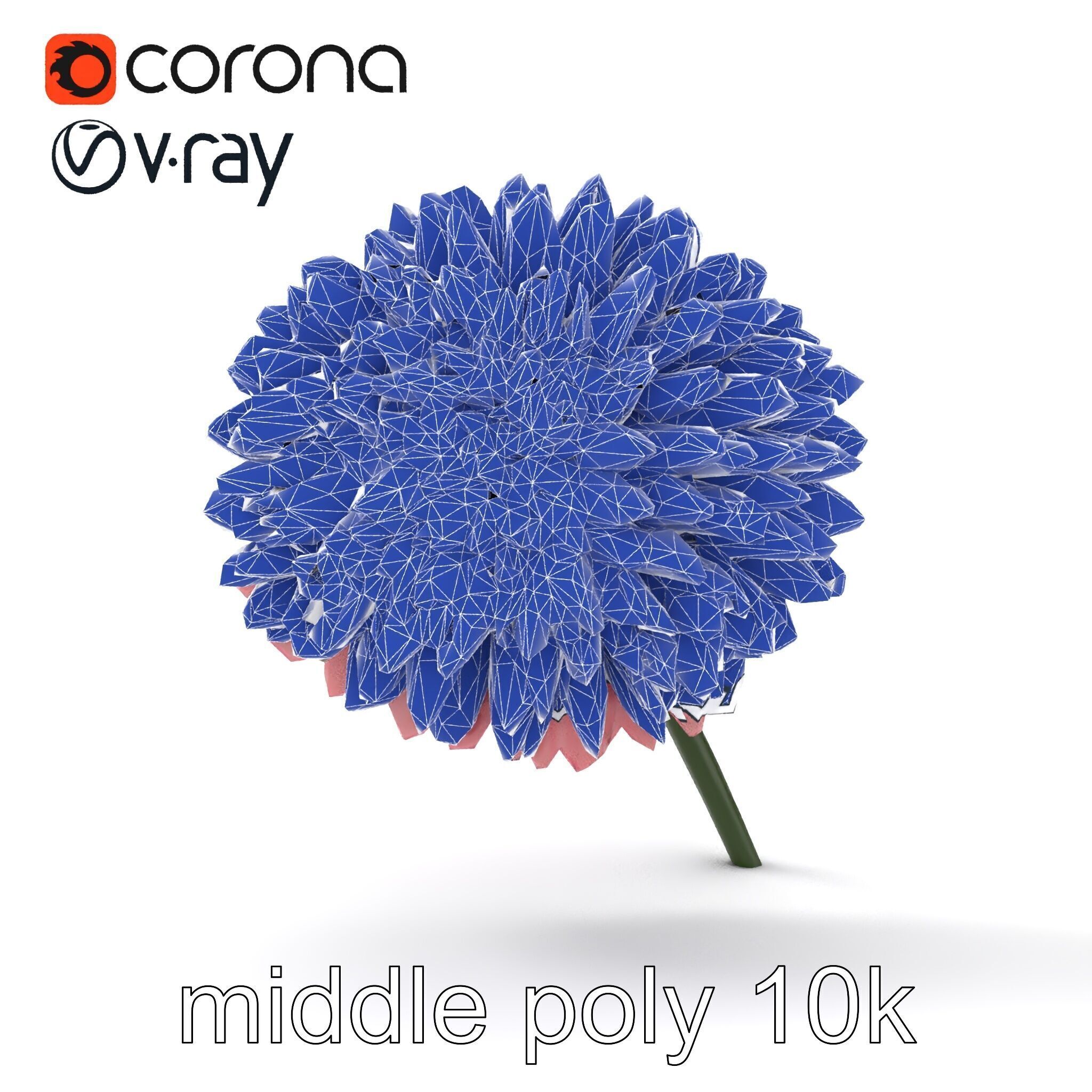 Chrysanthemum Double Lush Blooms model pack Low-poly 3D model_24