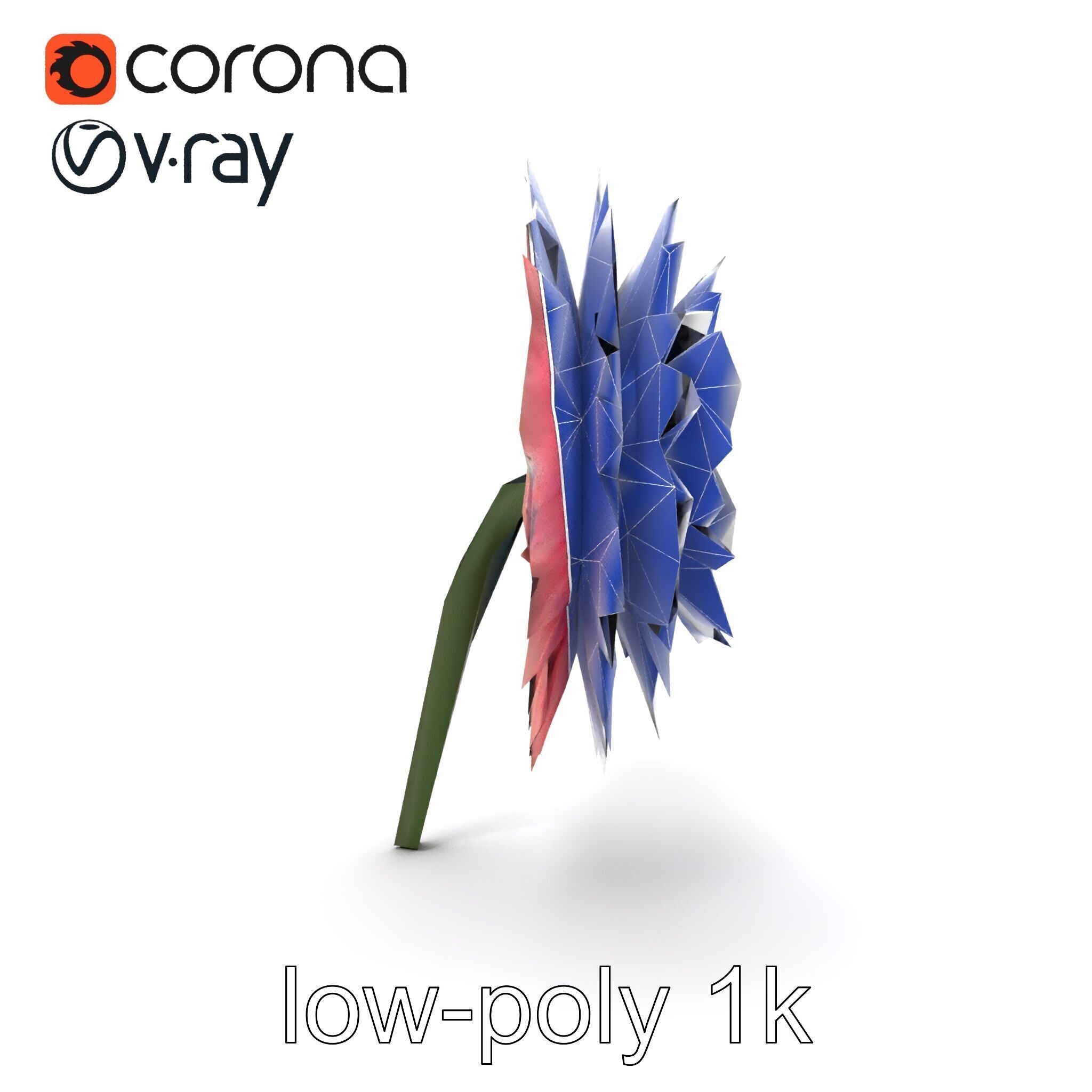 Chrysanthemum Double Lush Blooms model pack Low-poly 3D model_26