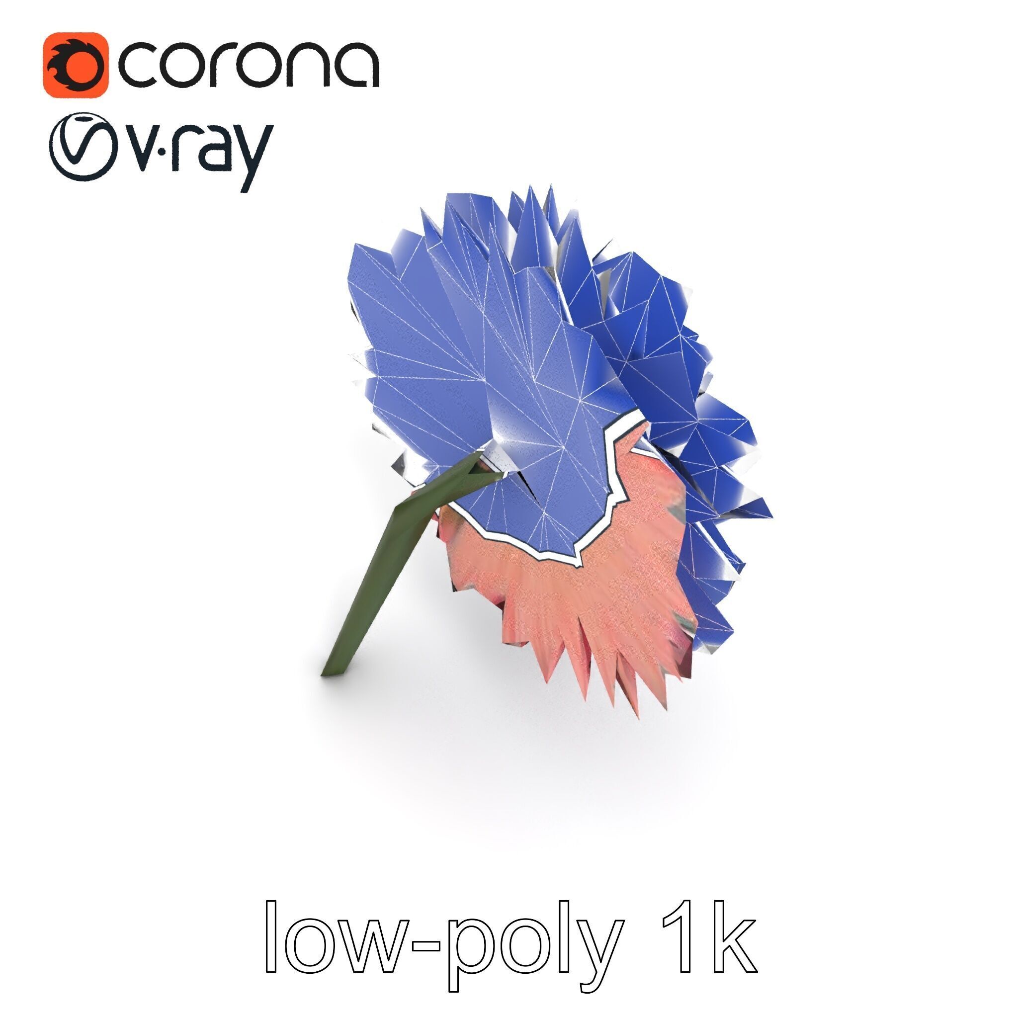 Chrysanthemum Double Lush Blooms model pack Low-poly 3D model_15