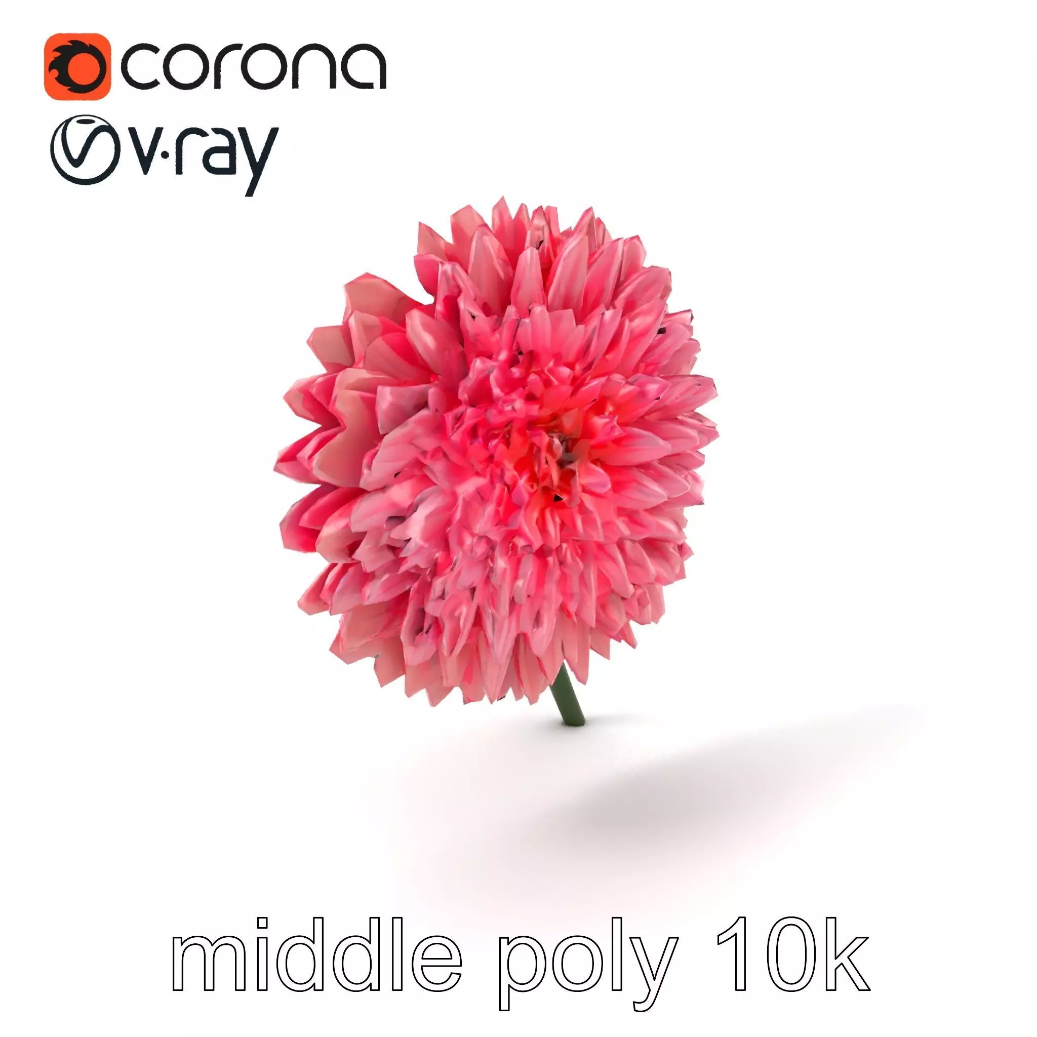 Chrysanthemum Double Lush Blooms model pack Low-poly 3D model_0