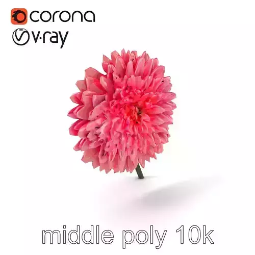 Chrysanthemum Double Lush Blooms model pack Low-poly 3D model