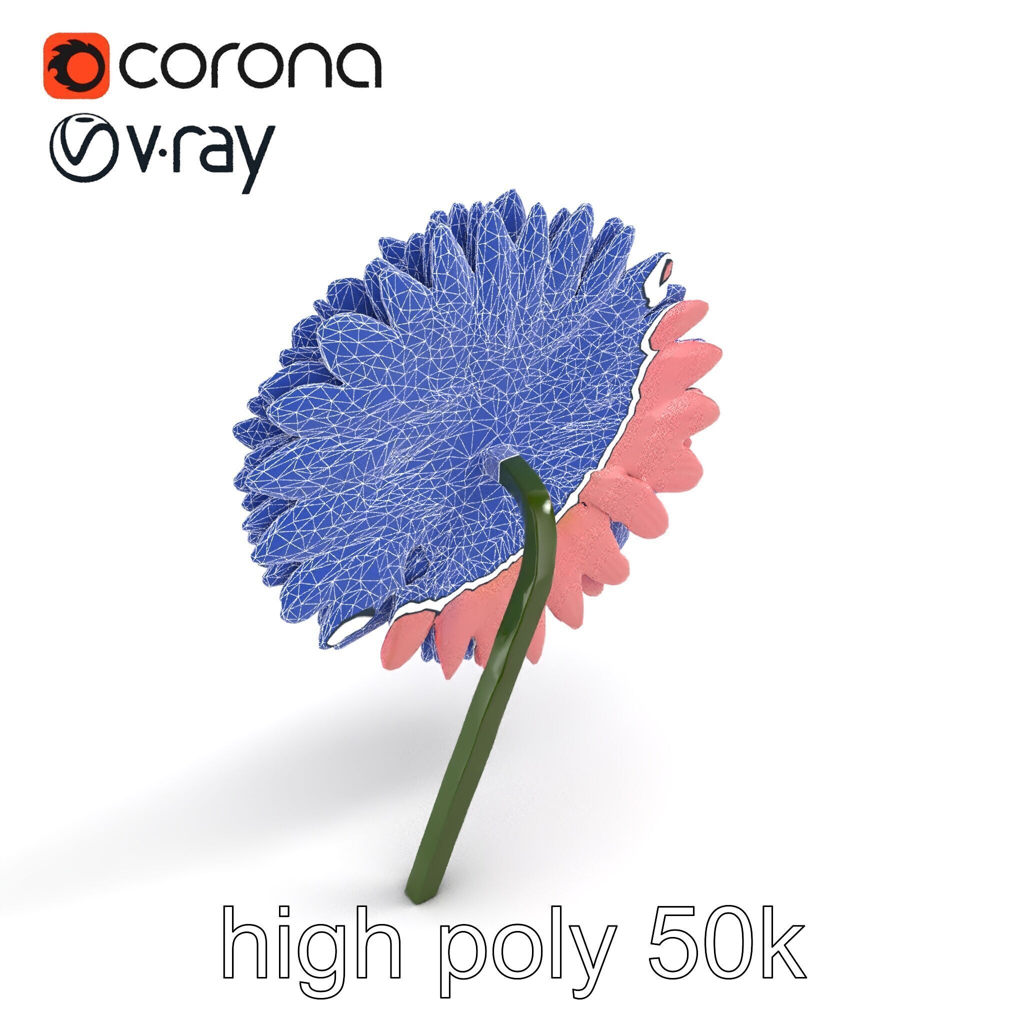 Chrysanthemum Double Lush Blooms model pack Low-poly 3D model_30