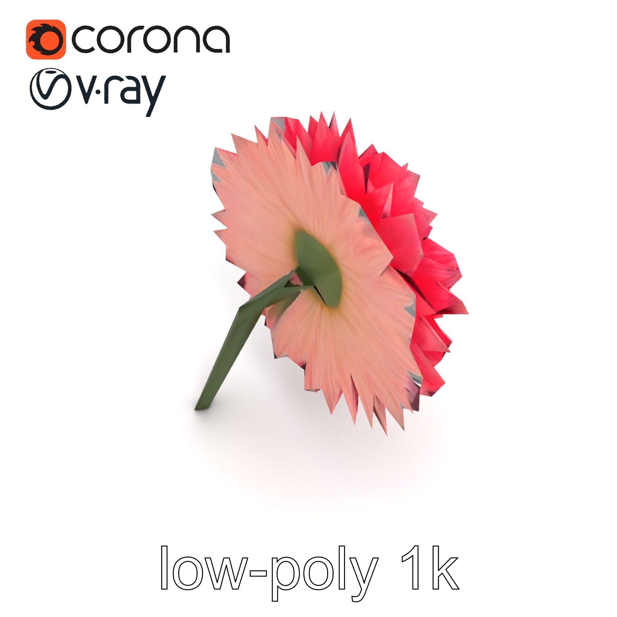 Chrysanthemum Double Lush Blooms model pack Low-poly 3D model_23