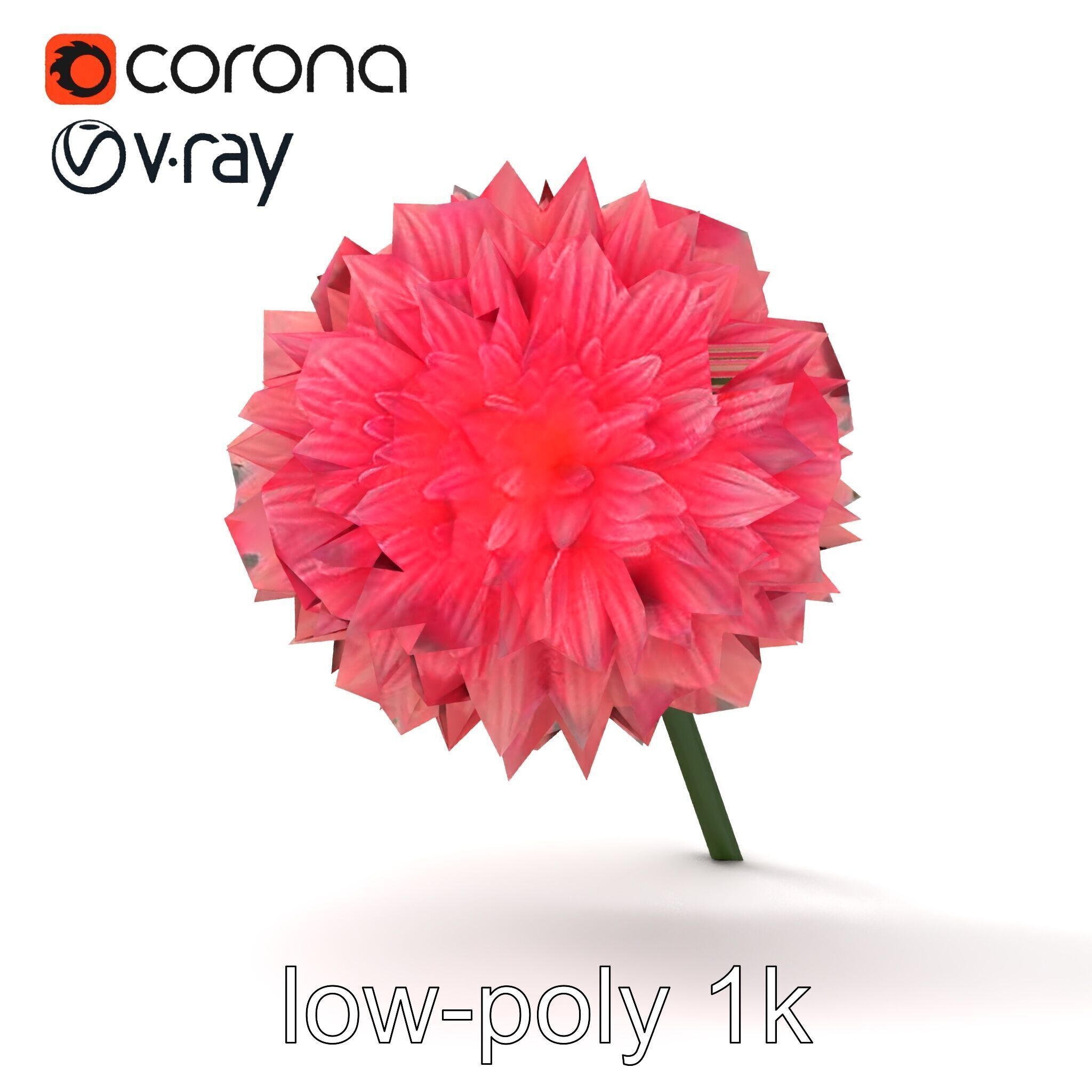 Chrysanthemum Double Lush Blooms model pack Low-poly 3D model_12