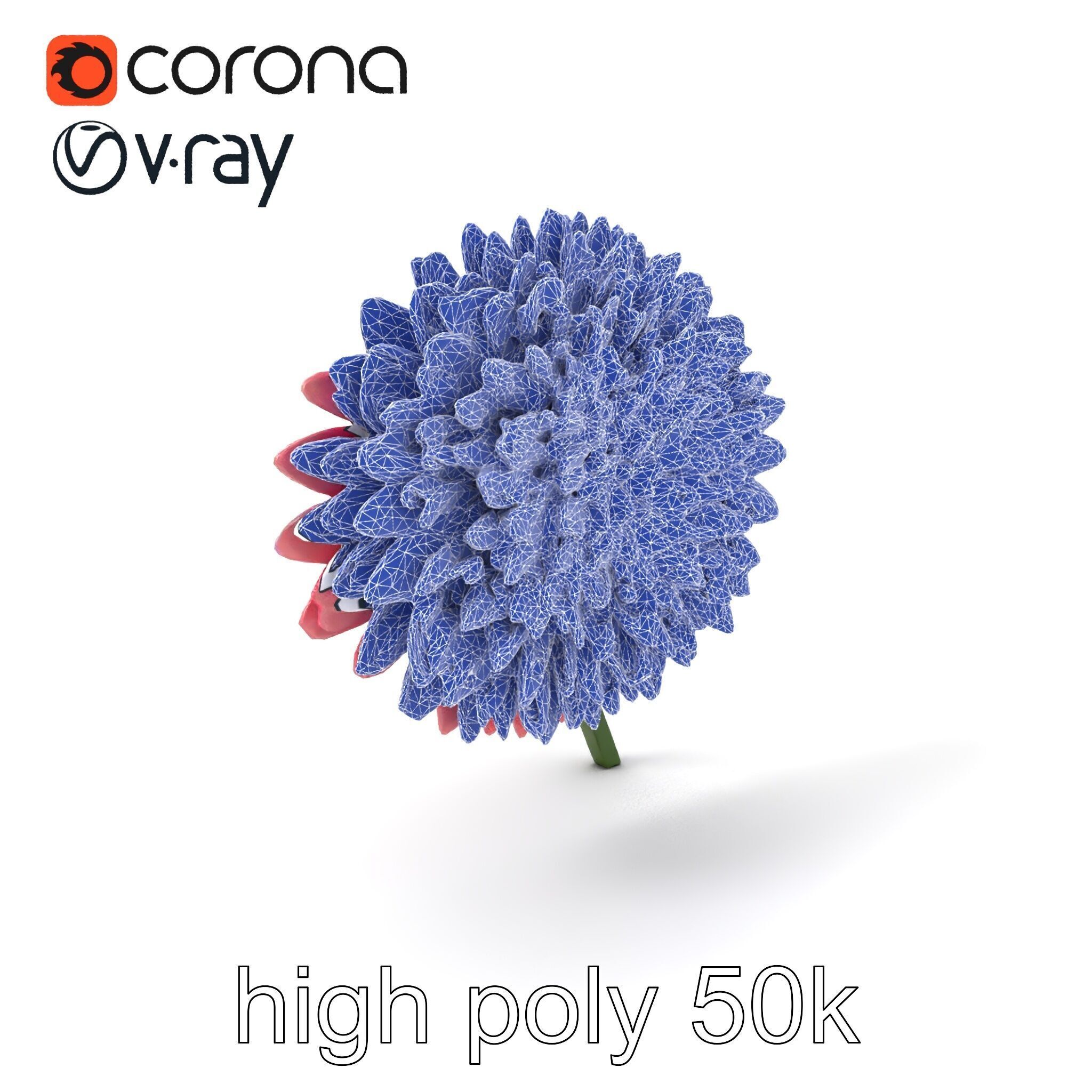 Chrysanthemum Double Lush Blooms model pack Low-poly 3D model_1