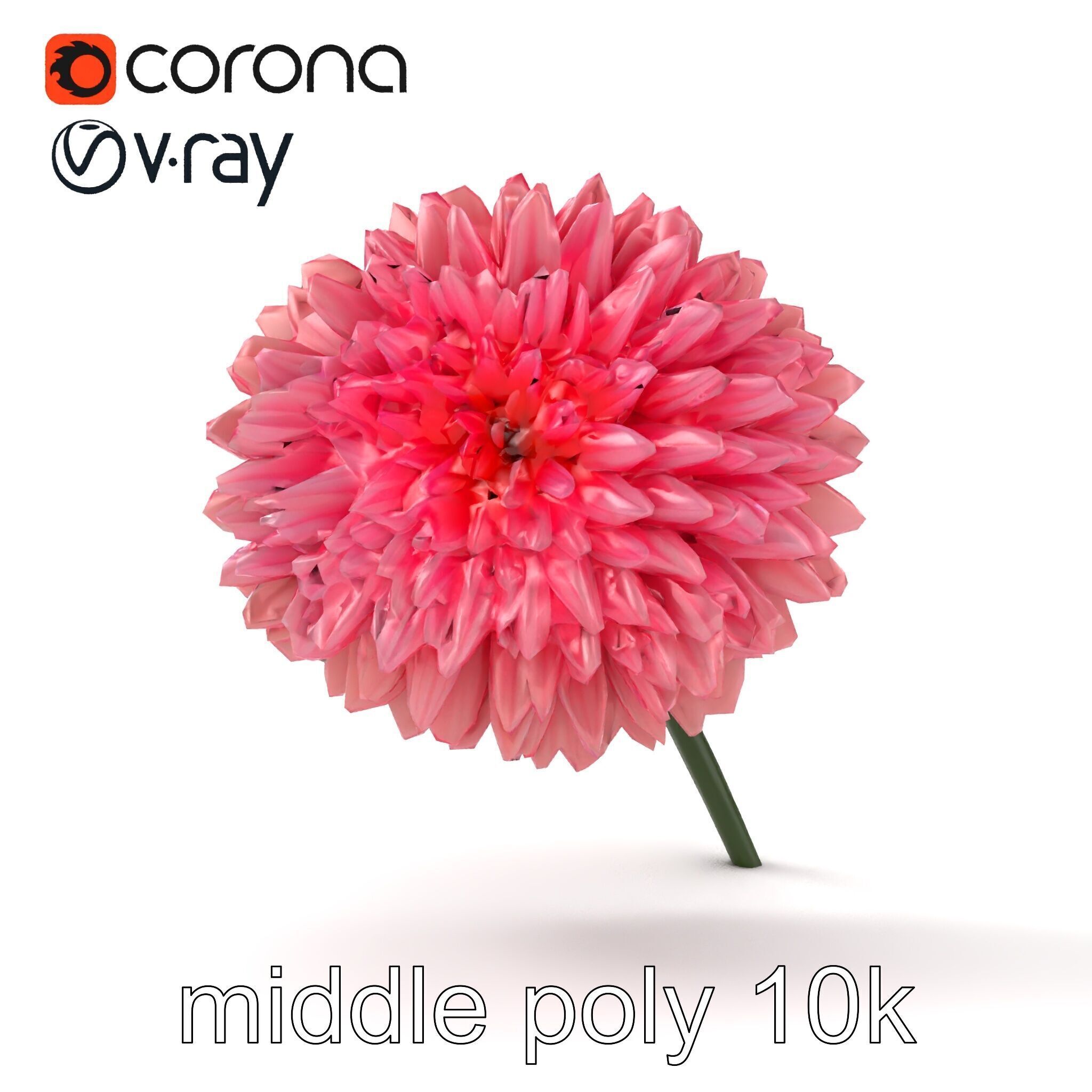 Chrysanthemum Double Lush Blooms model pack Low-poly 3D model_10