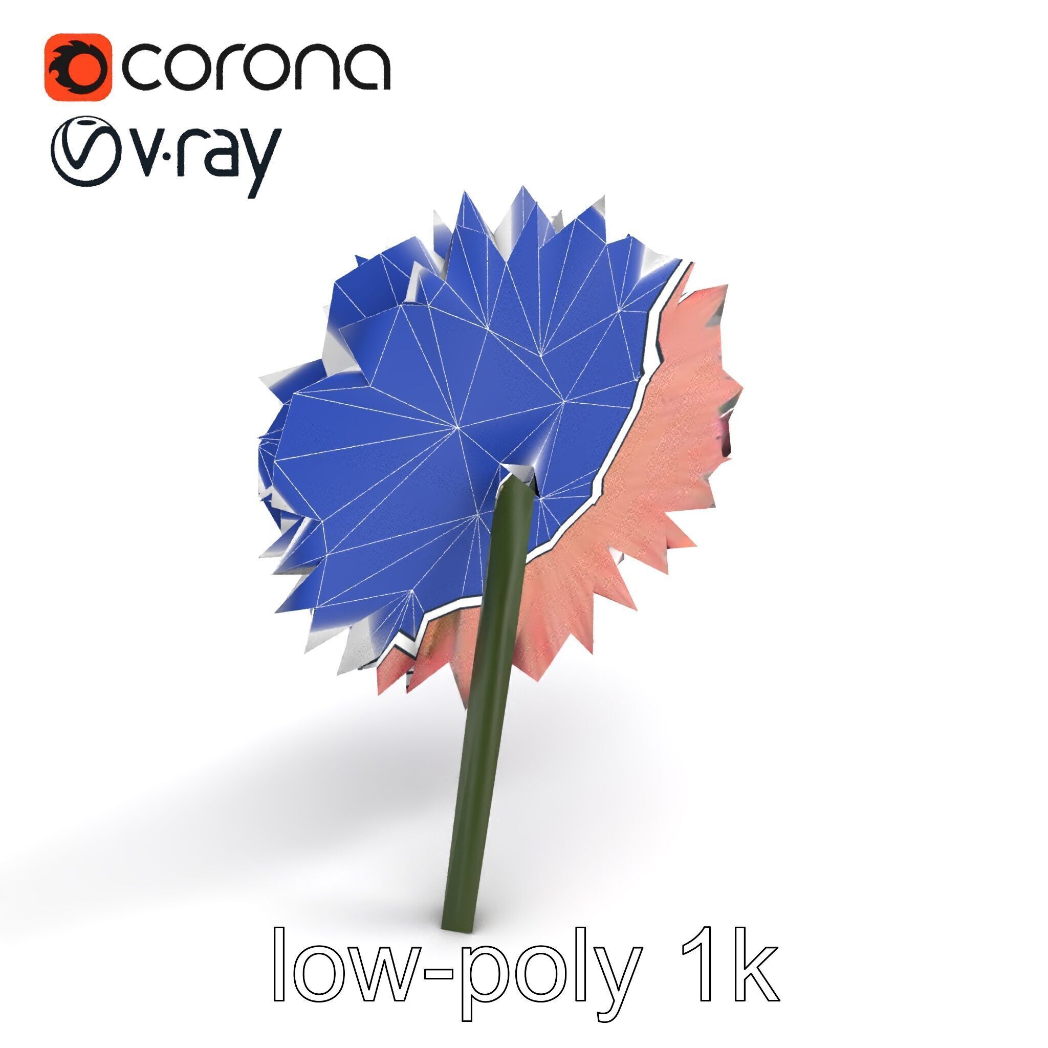 Chrysanthemum Double Lush Blooms model pack Low-poly 3D model_14