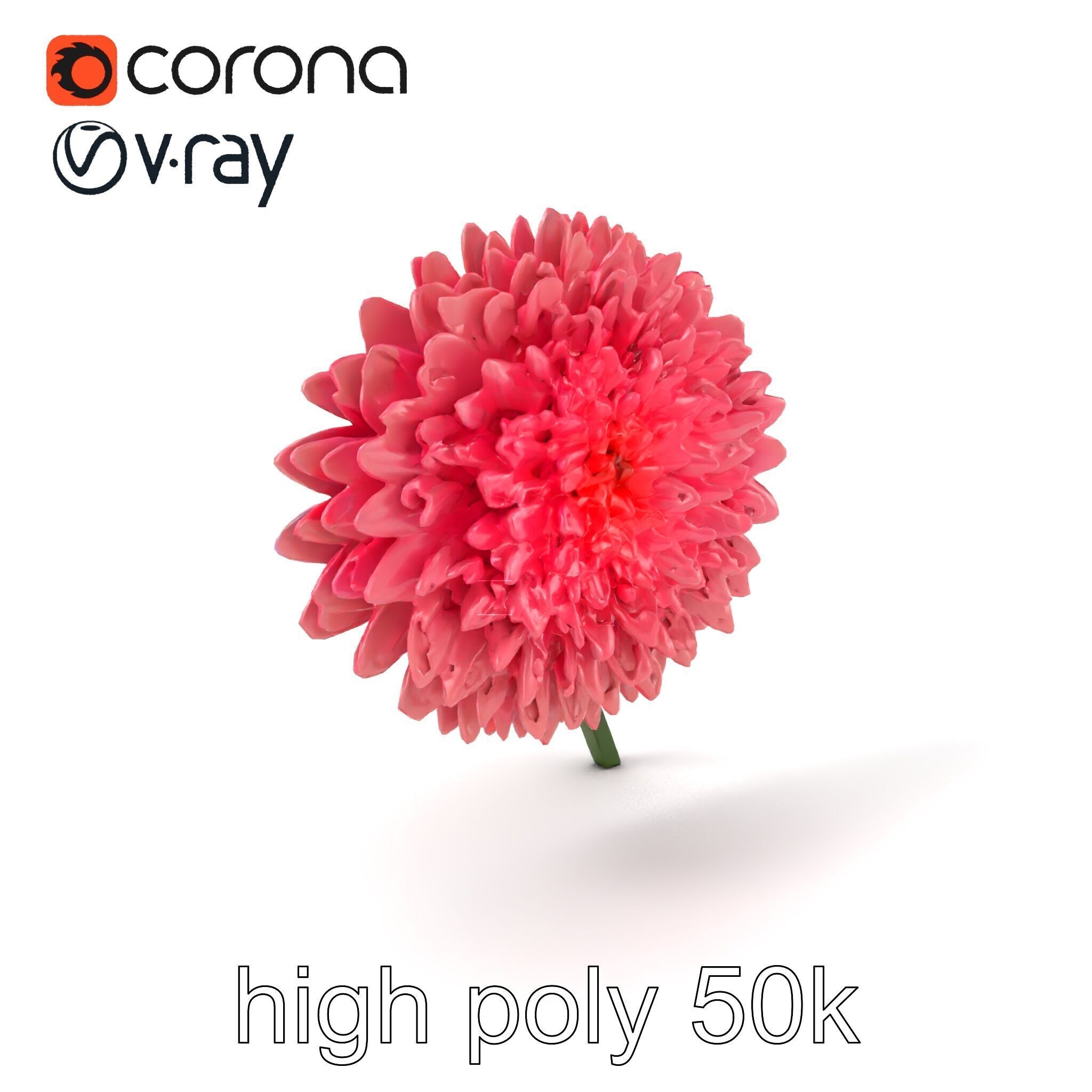 Chrysanthemum Double Lush Blooms model pack Low-poly 3D model_2