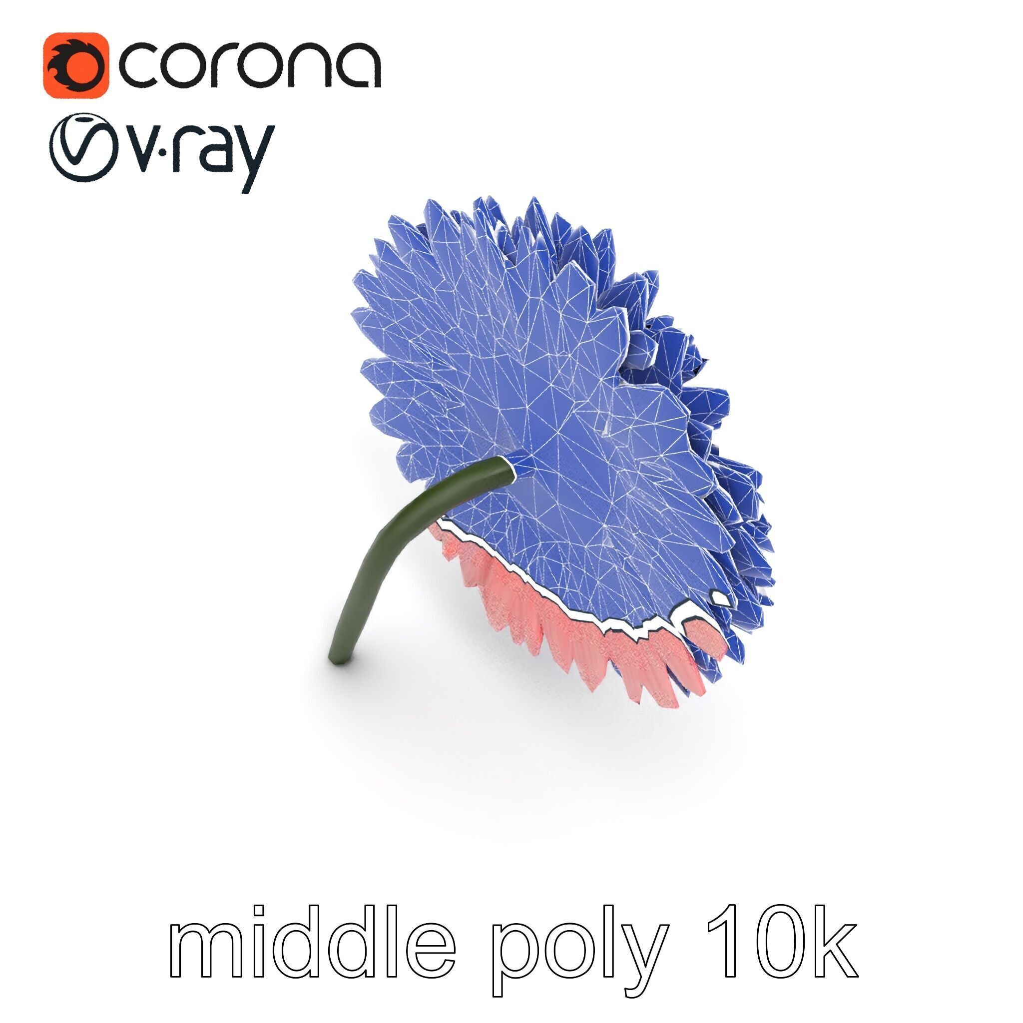 Chrysanthemum Double Lush Blooms model pack Low-poly 3D model_21
