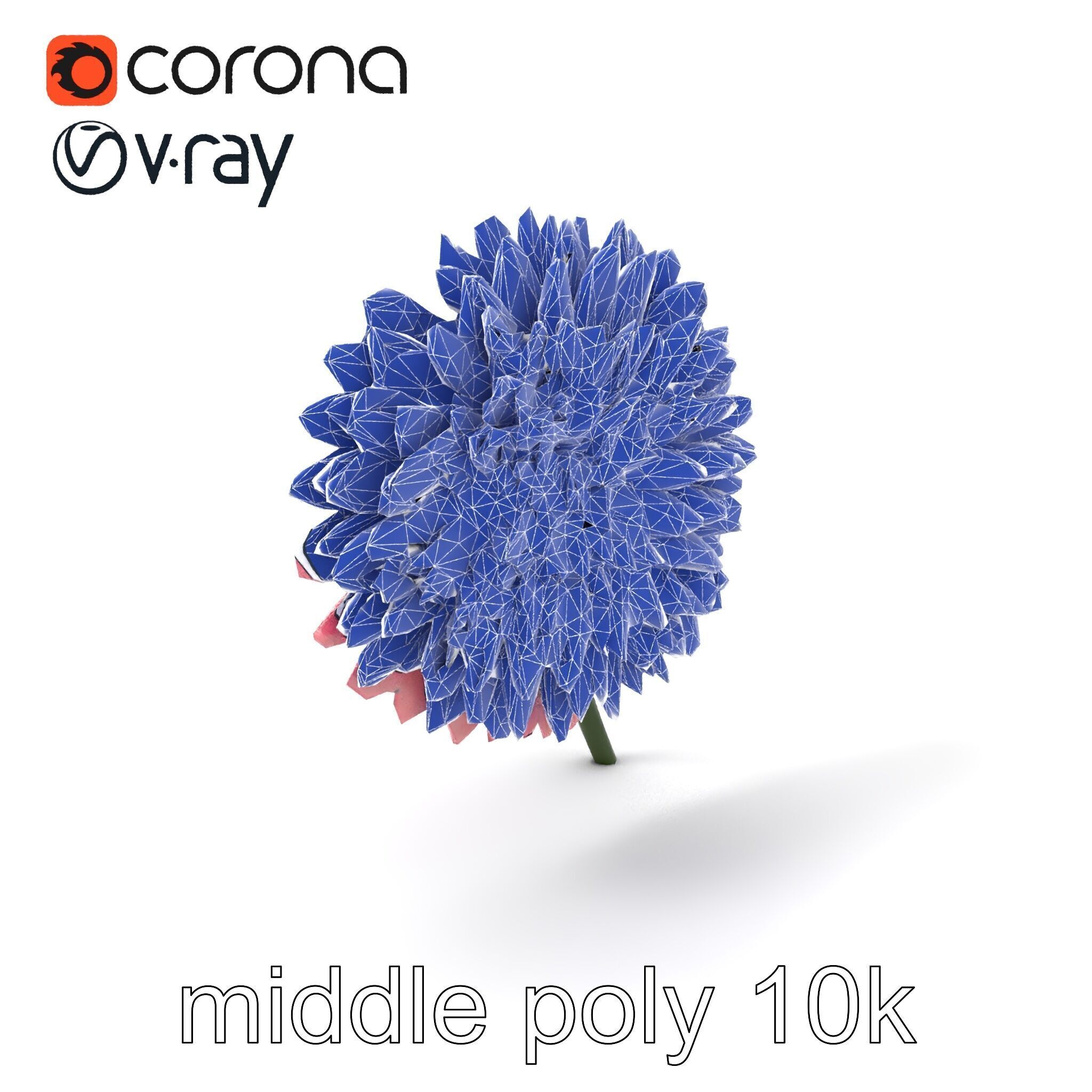 Chrysanthemum Double Lush Blooms model pack Low-poly 3D model_5