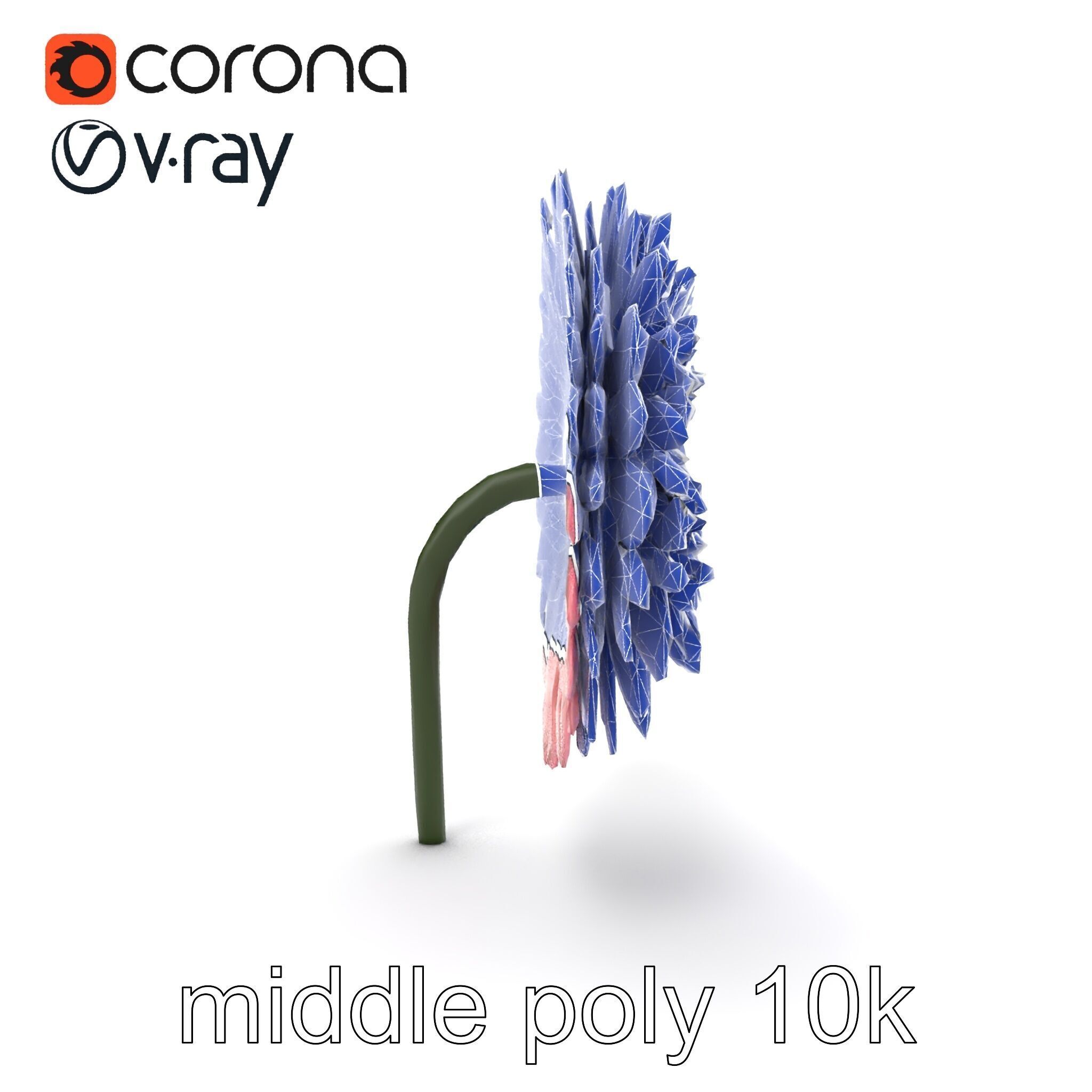 Chrysanthemum Double Lush Blooms model pack Low-poly 3D model_28