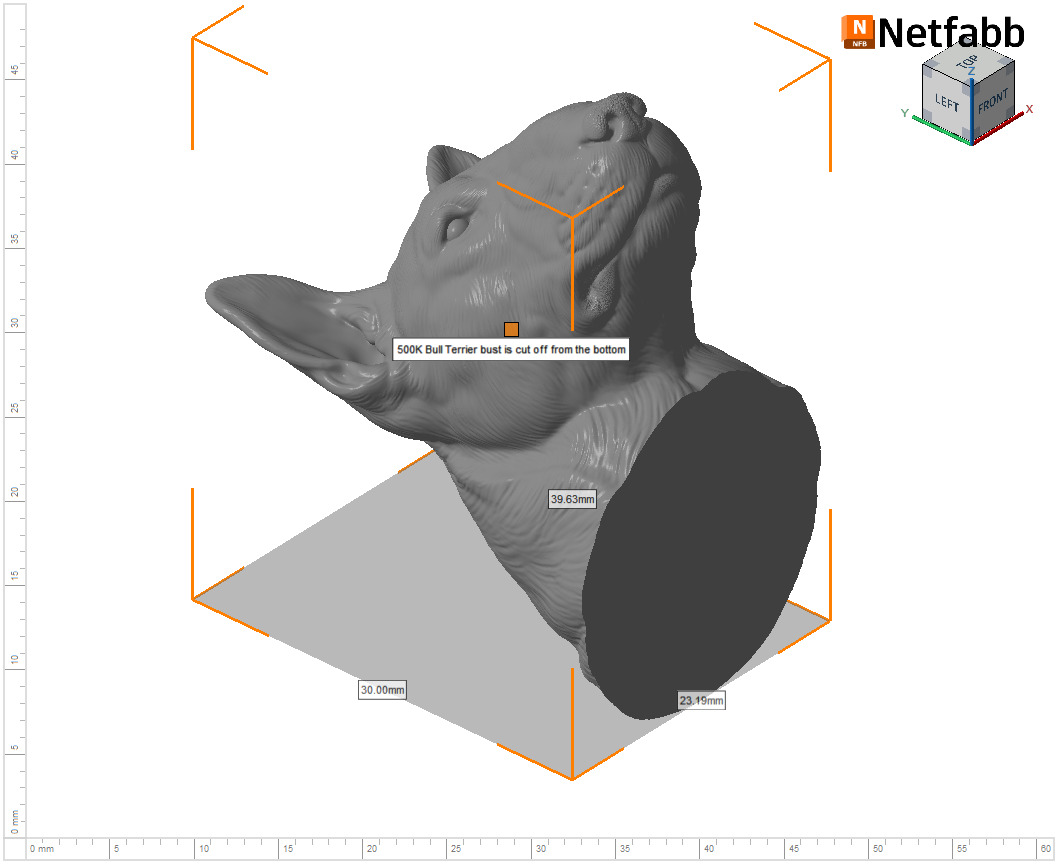 Bull Terrier bust 3D print model_25