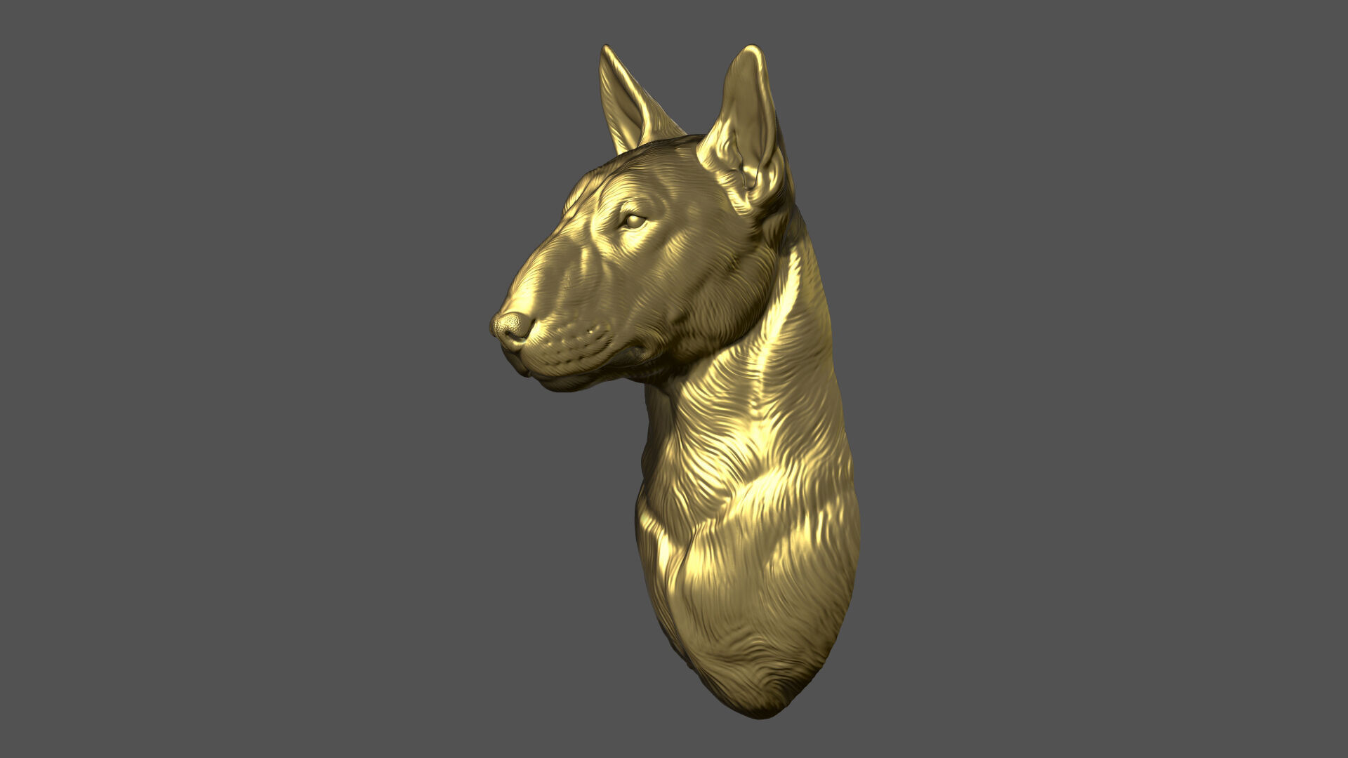 Bull Terrier bust 3D print model_6