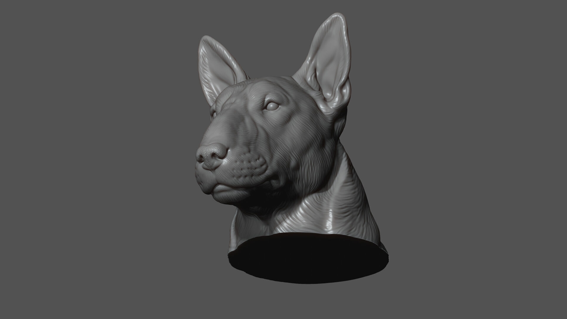 Bull Terrier bust 3D print model_17