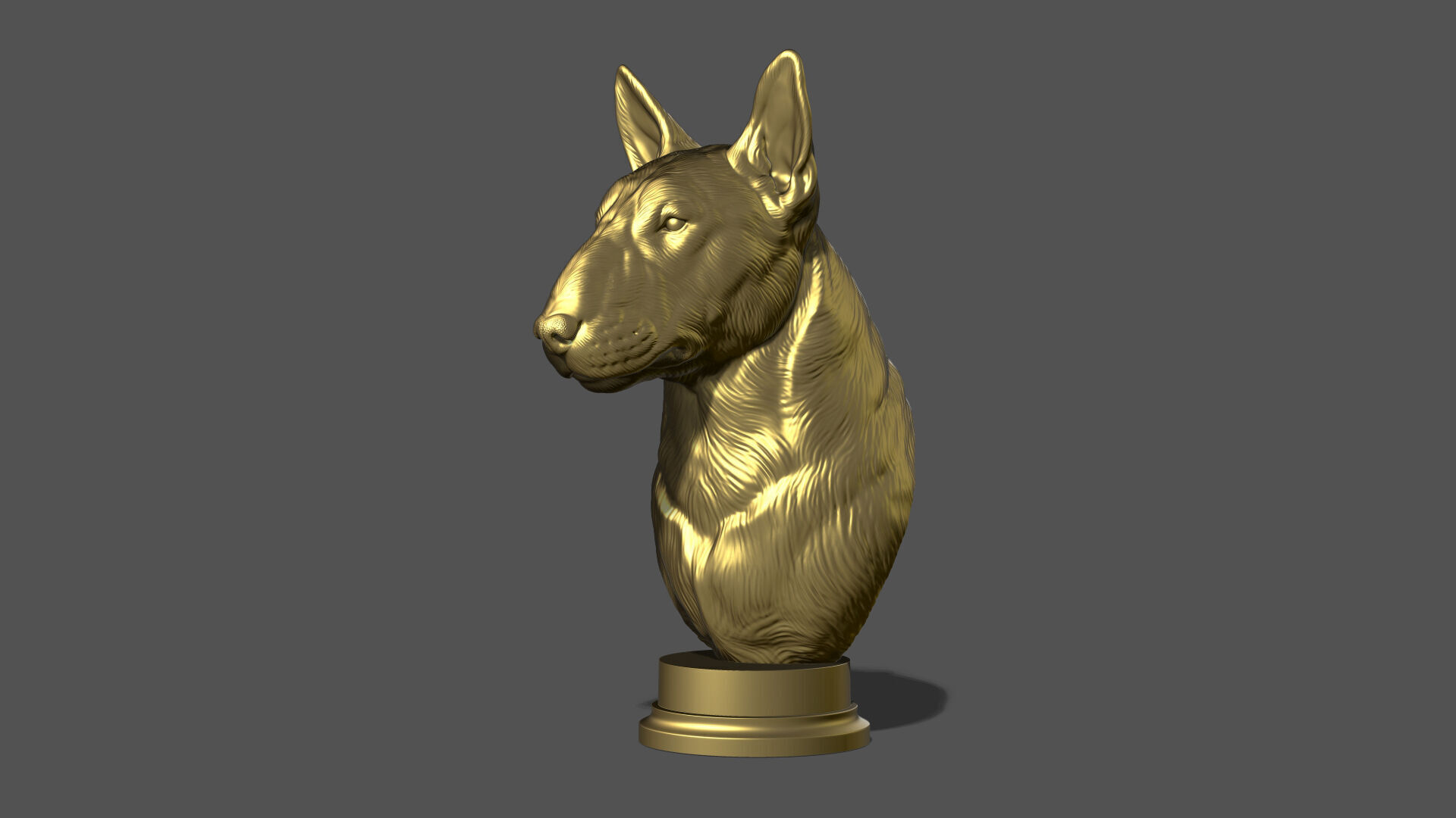 Bull Terrier bust 3D print model_15