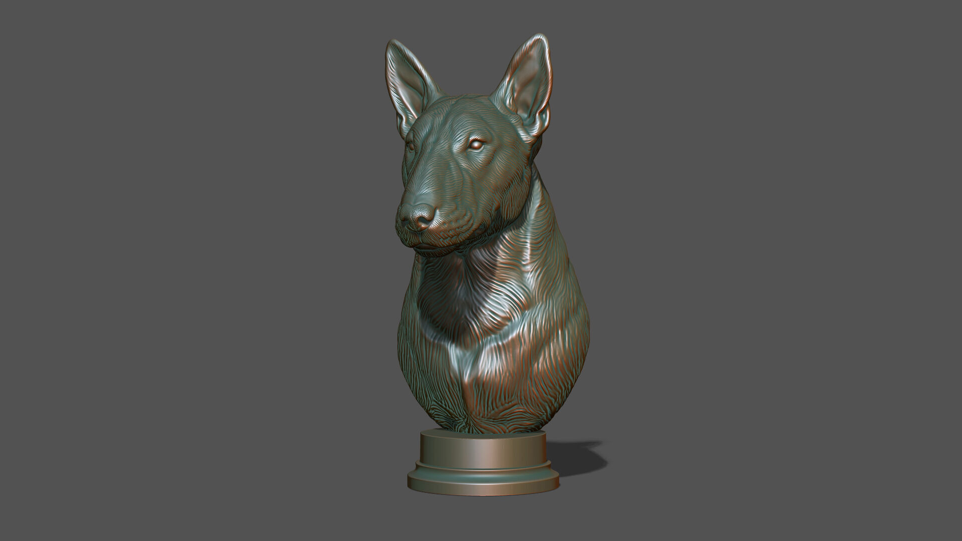 Bull Terrier bust 3D print model_16