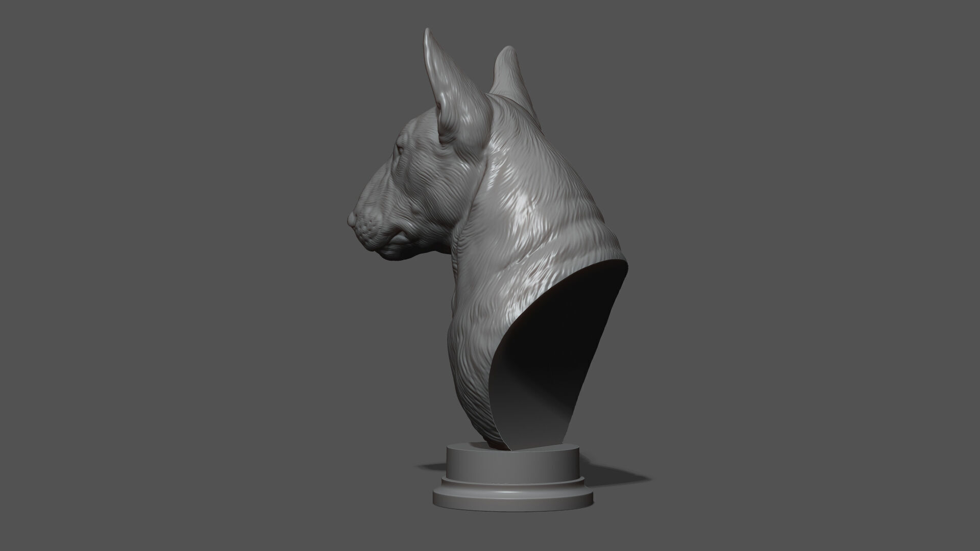 Bull Terrier bust 3D print model_11