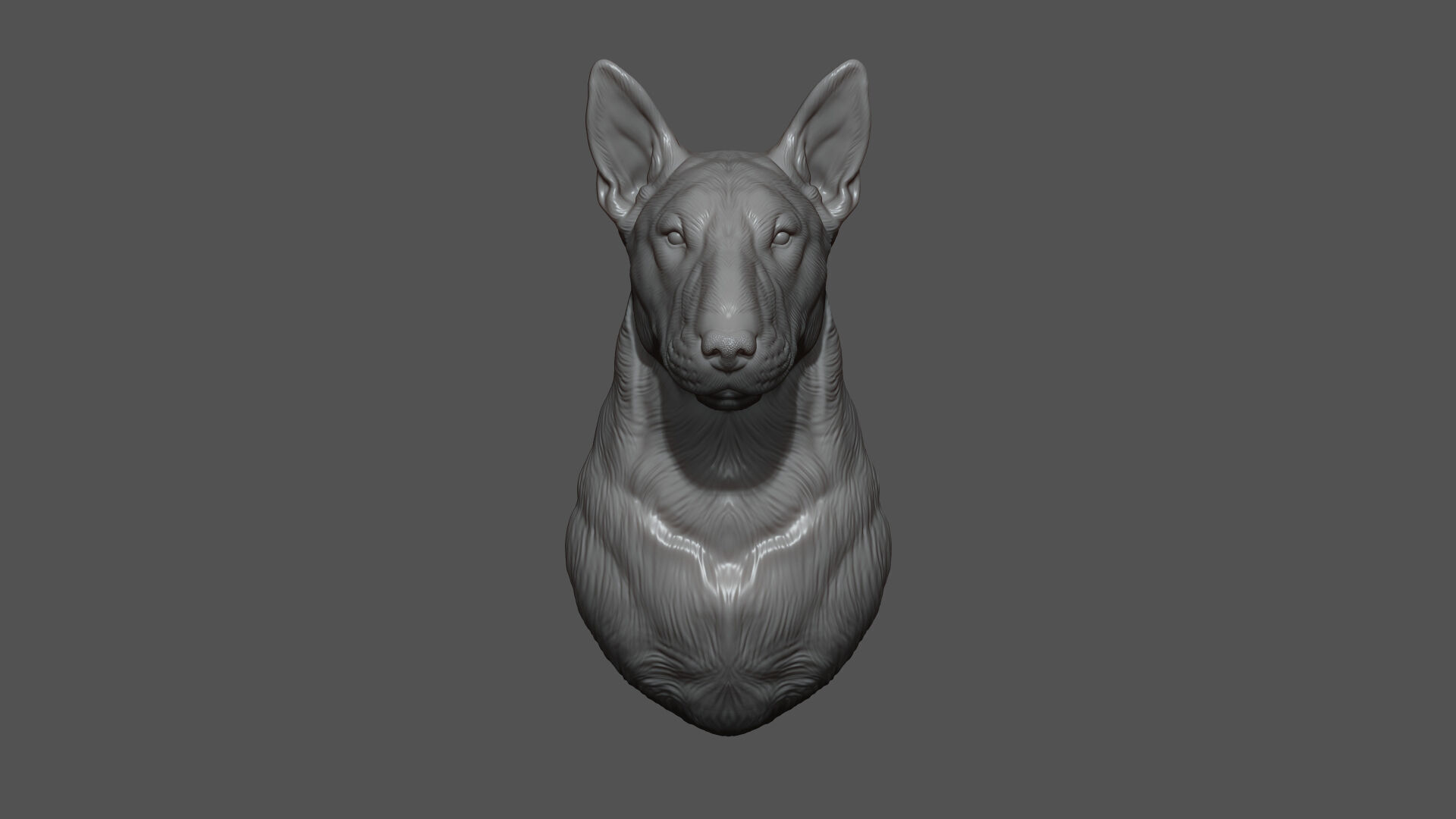 Bull Terrier bust 3D print model_2