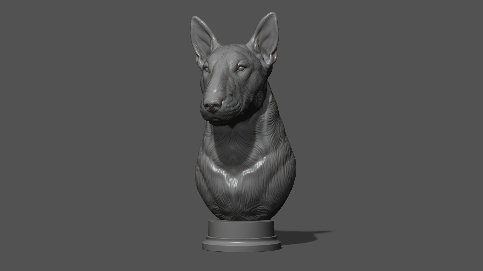 Bull Terrier bust 3D print model_10