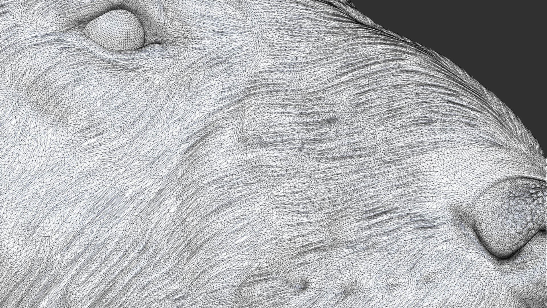 Bull Terrier bust 3D print model_28