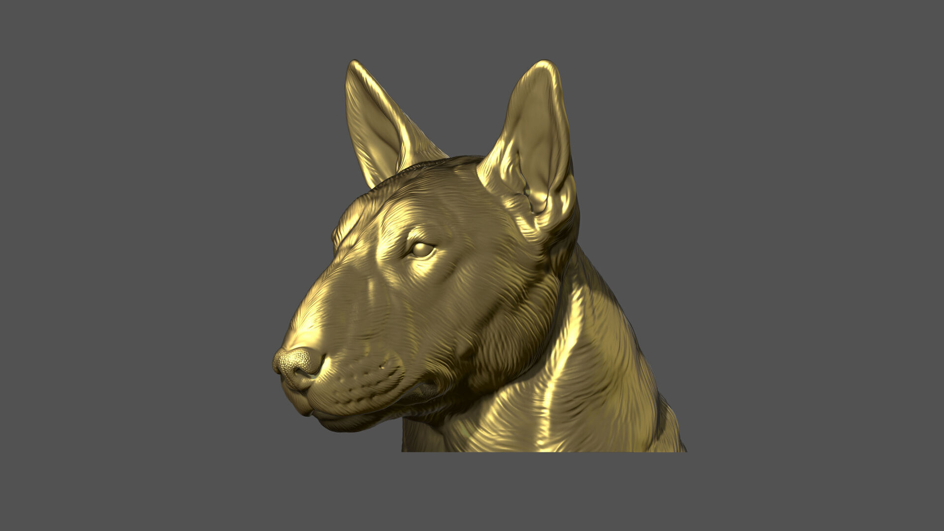 Bull Terrier bust 3D print model_21