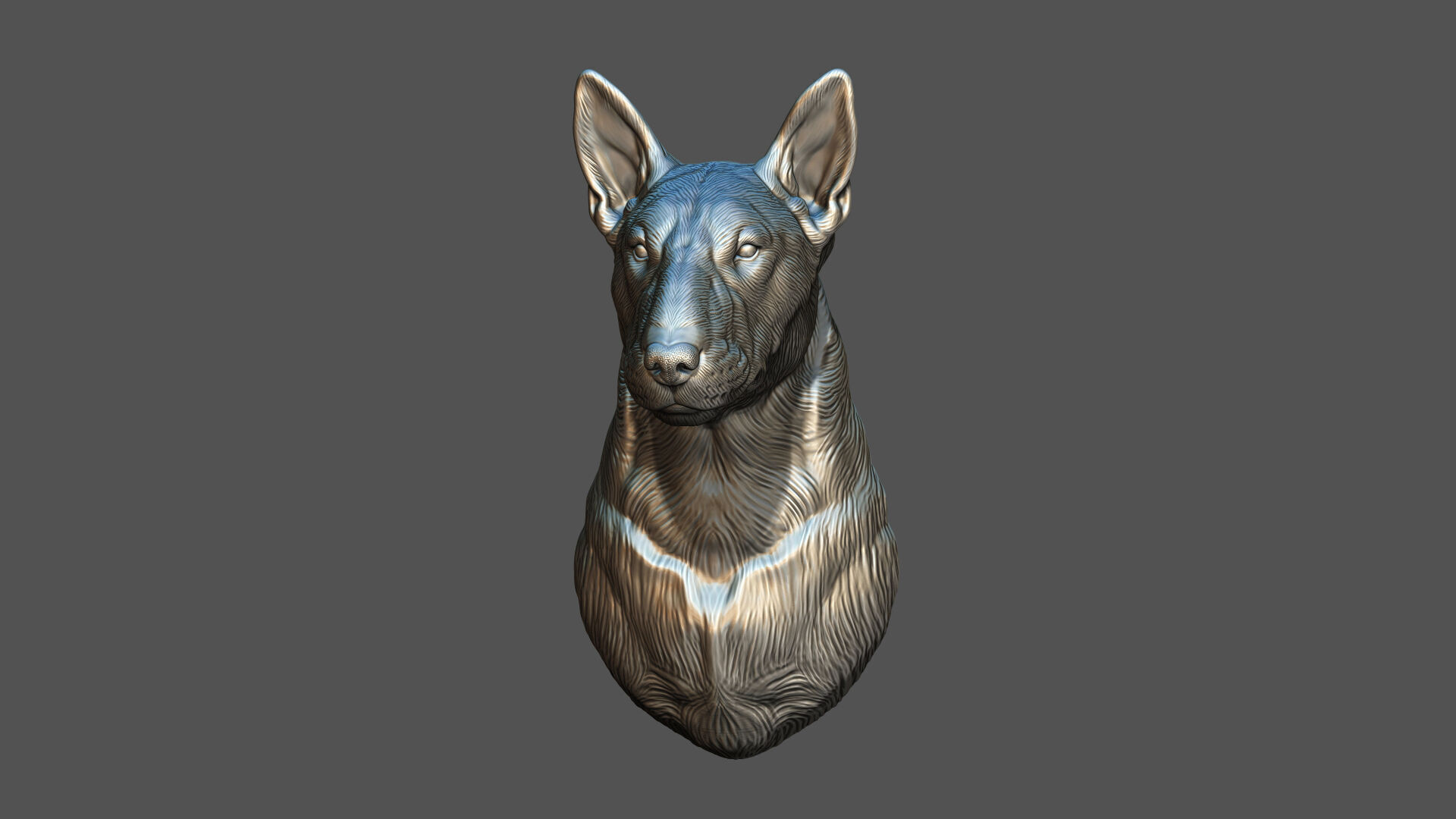 Bull Terrier bust 3D print model_7