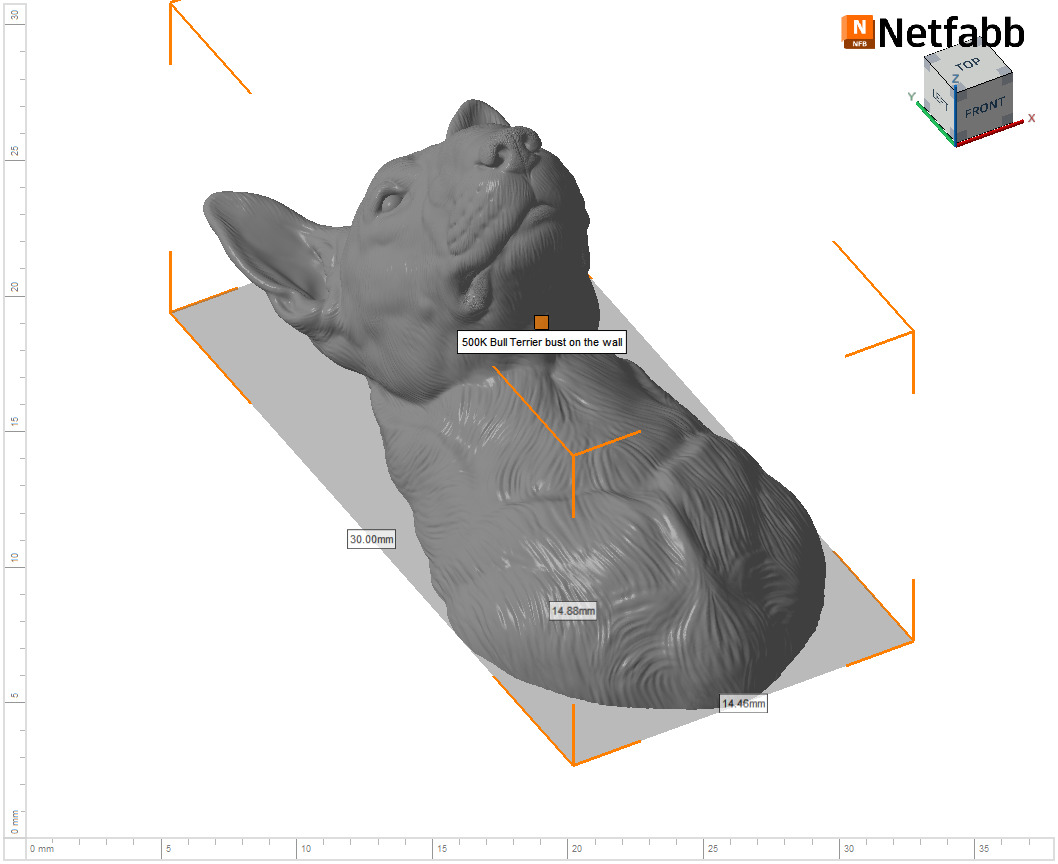 Bull Terrier bust 3D print model_26