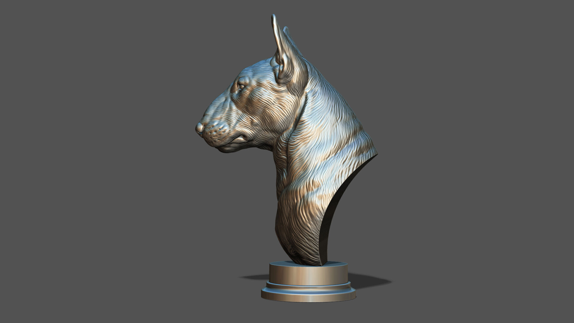 Bull Terrier bust 3D print model_22