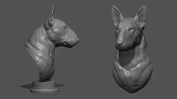 Bull Terrier bust