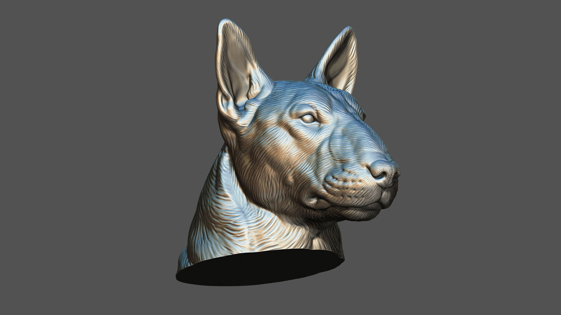 Bull Terrier bust 3D print model_23