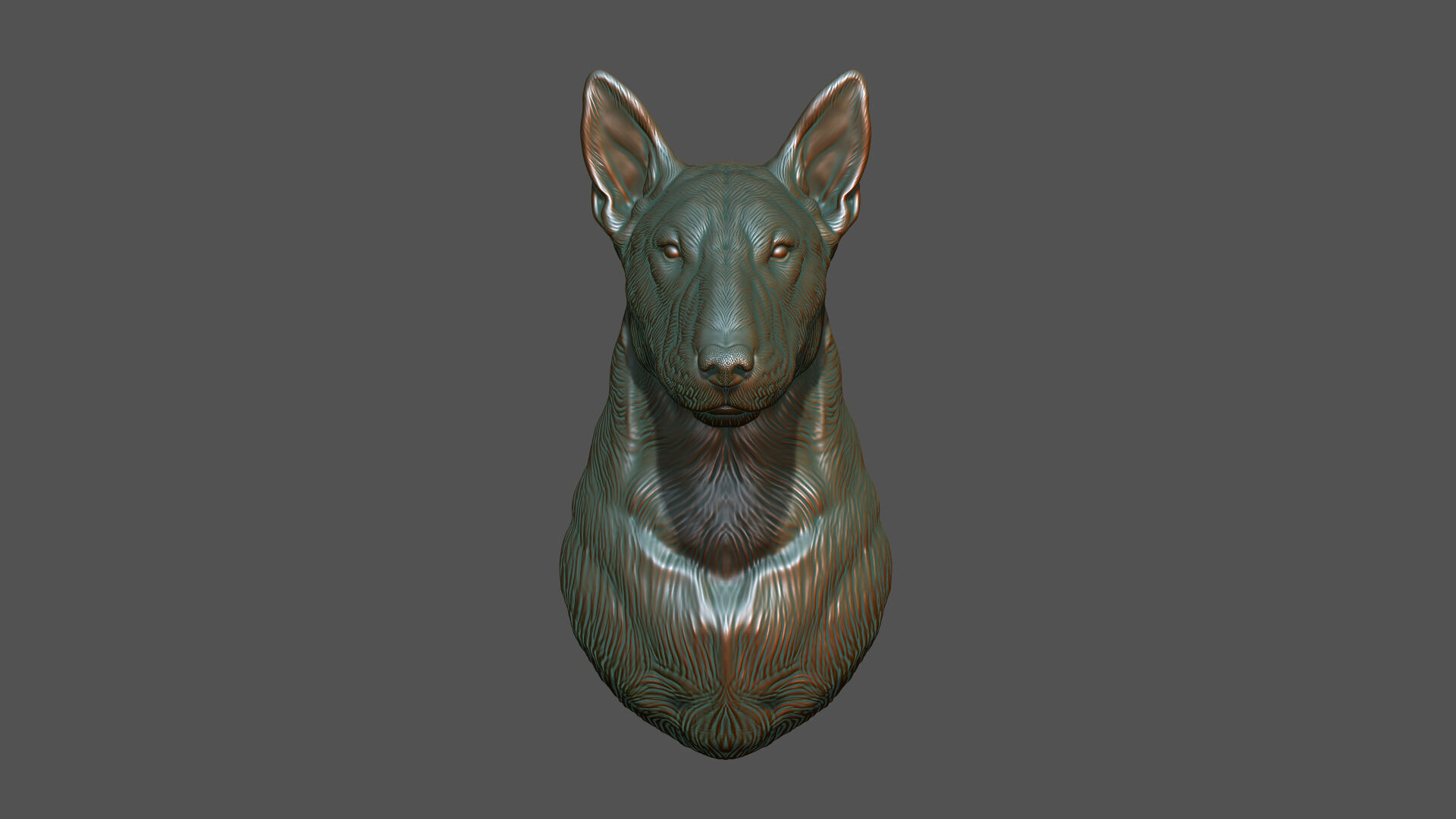 Bull Terrier bust 3D print model_8