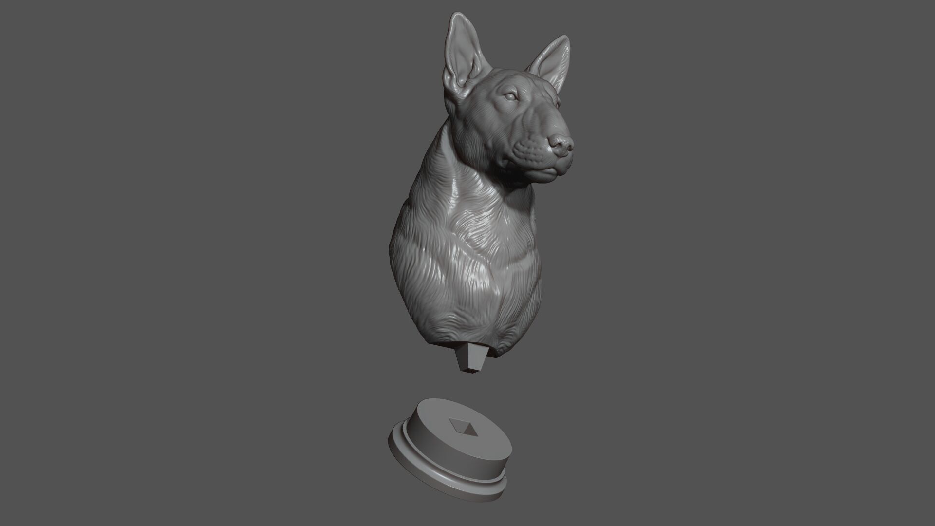 Bull Terrier bust 3D print model_9