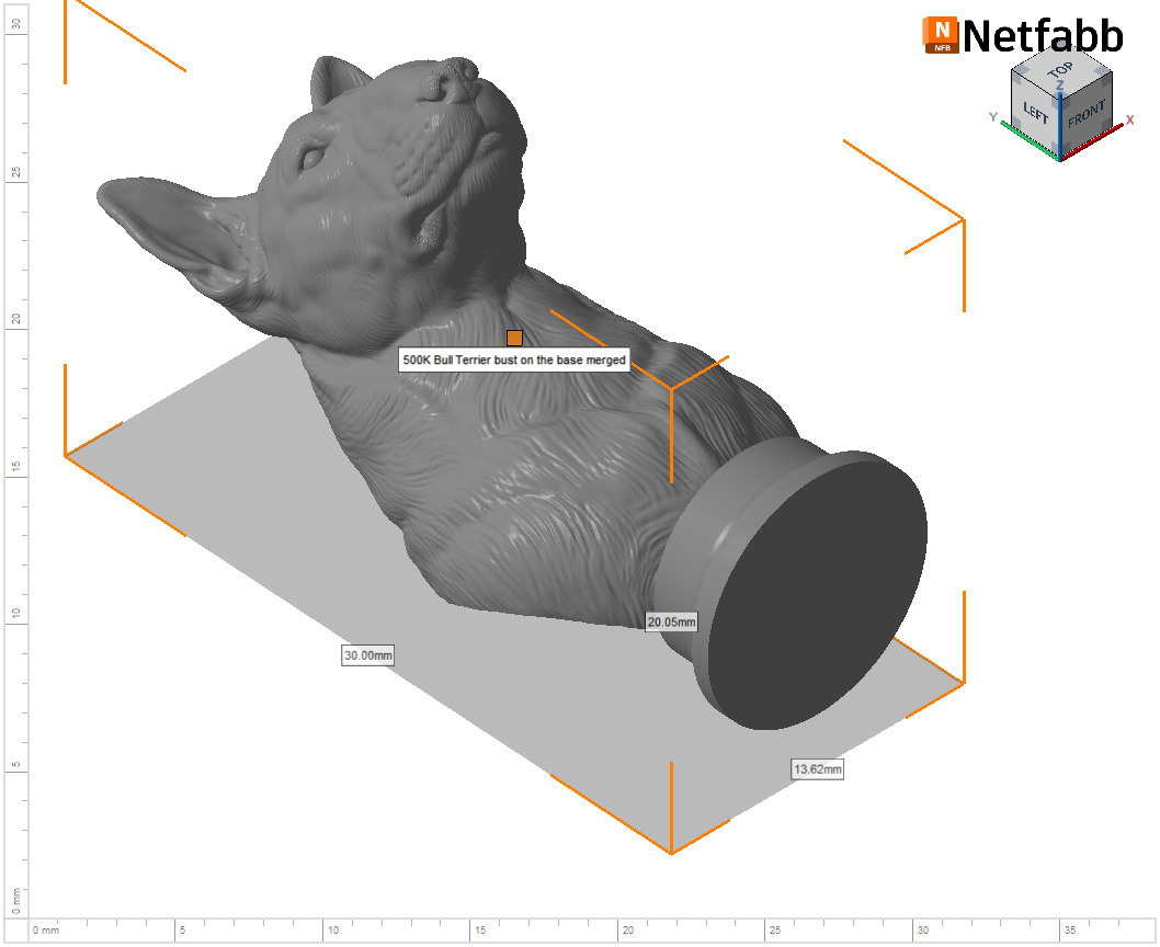 Bull Terrier bust 3D print model_27