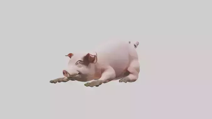 Pig rolling in mud model