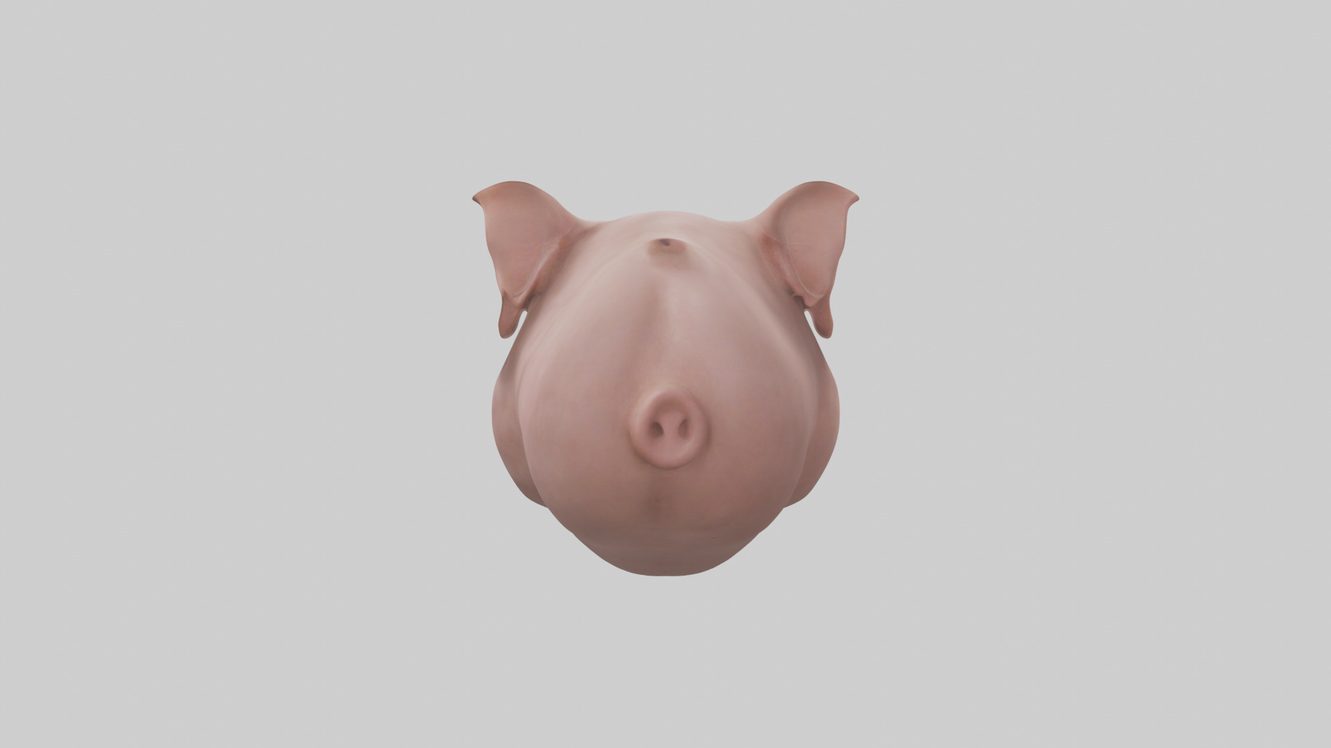 Pig Snout Model Low-poly 3D model_3