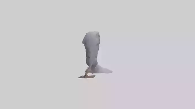 Pigeon Feet Model Low-poly 3D model